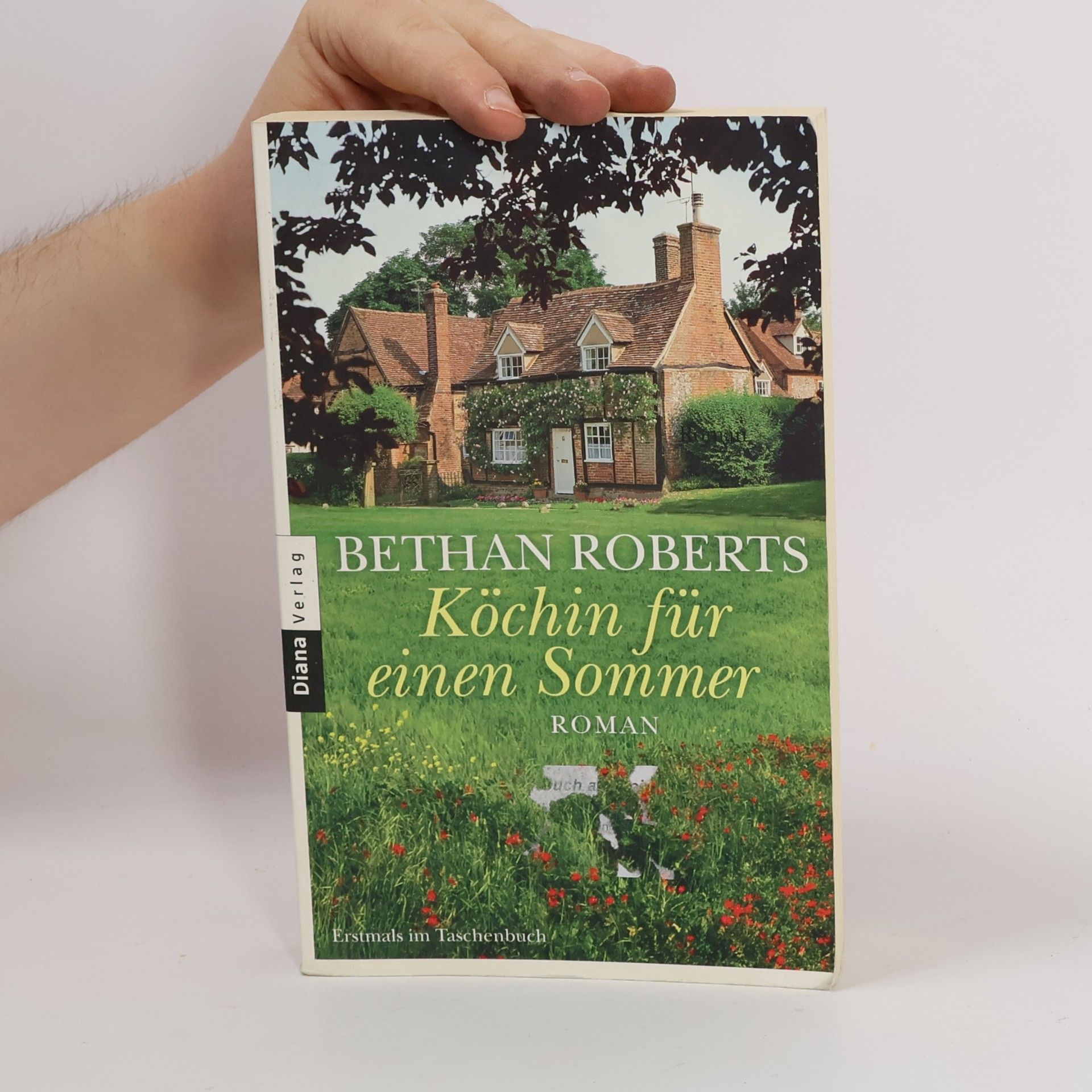 Bethan Roberts Köchin für einen Sommer