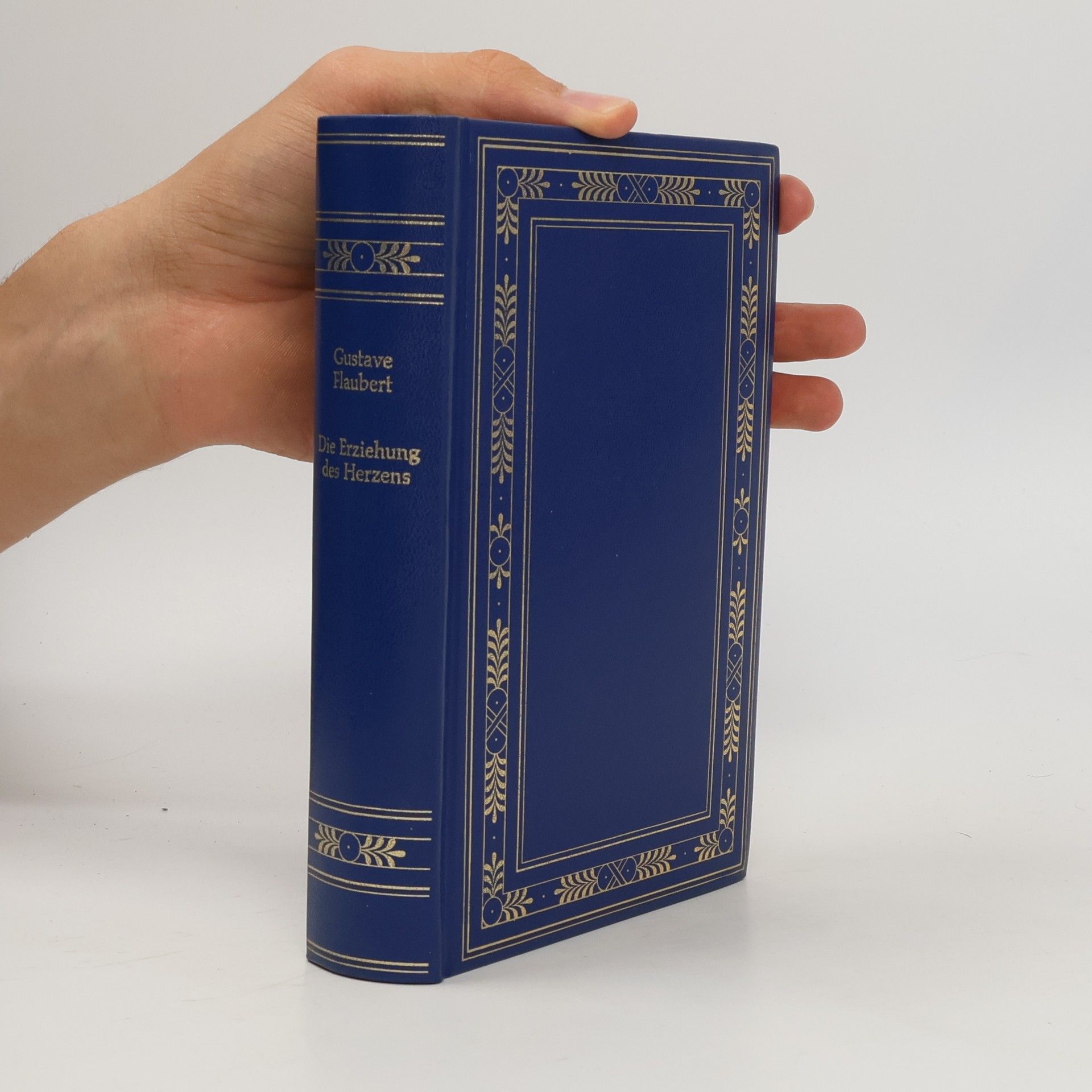 Gustave Flaubert Die Erziehung des Herzens