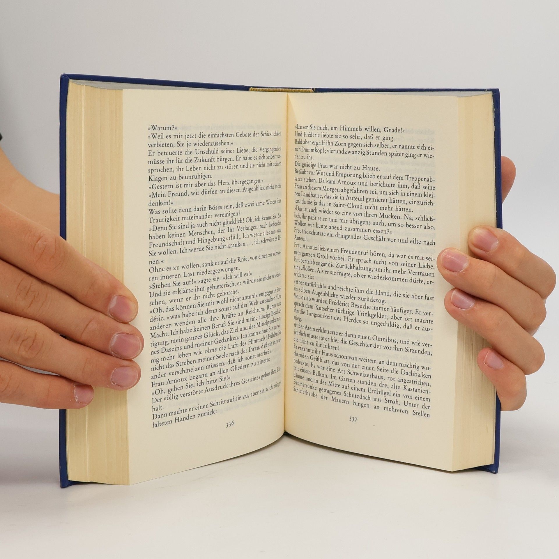 Gustave Flaubert Die Erziehung des Herzens