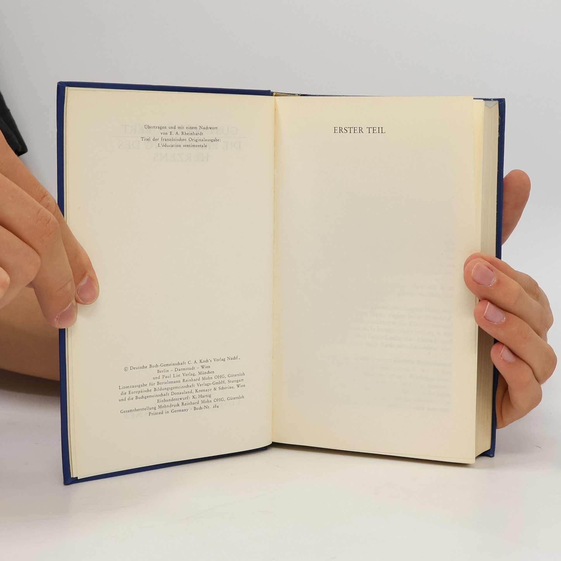 Gustave Flaubert Die Erziehung des Herzens