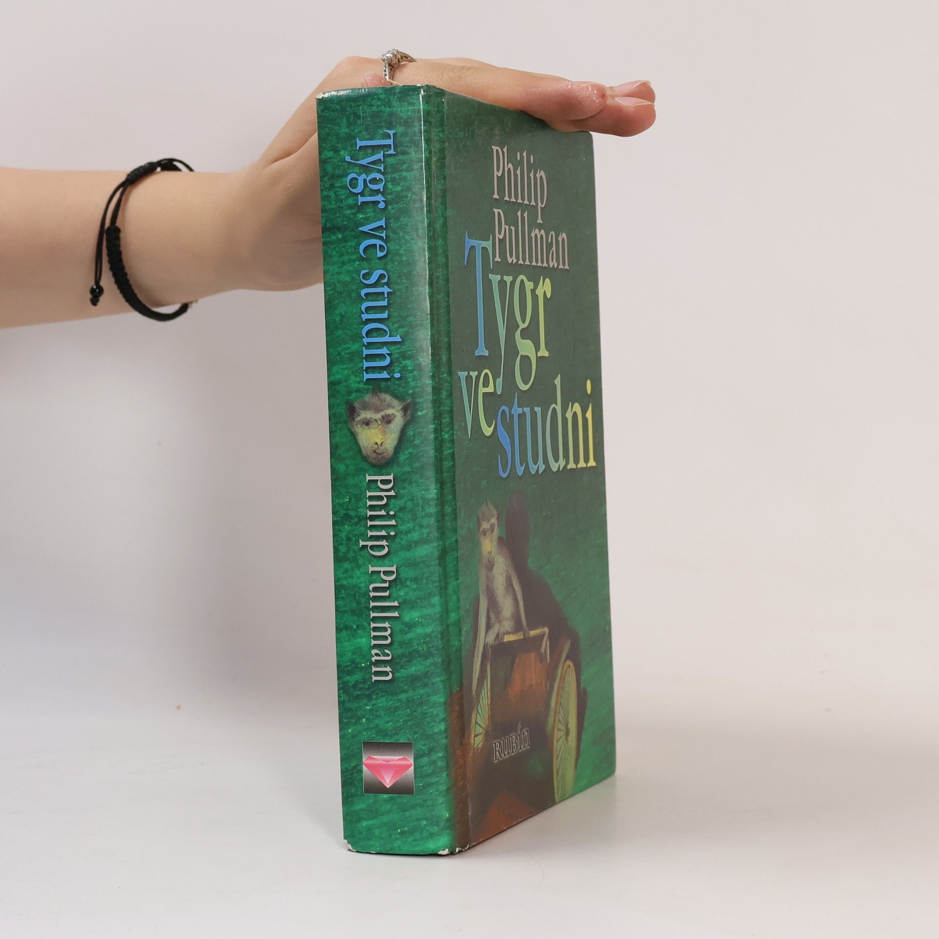 Philip Pullman Tygr ve studni