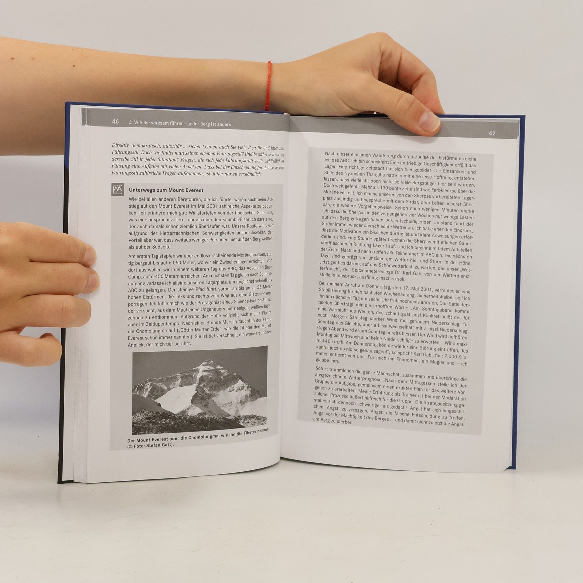 Stefan Gatt Survival Handbuch Führung