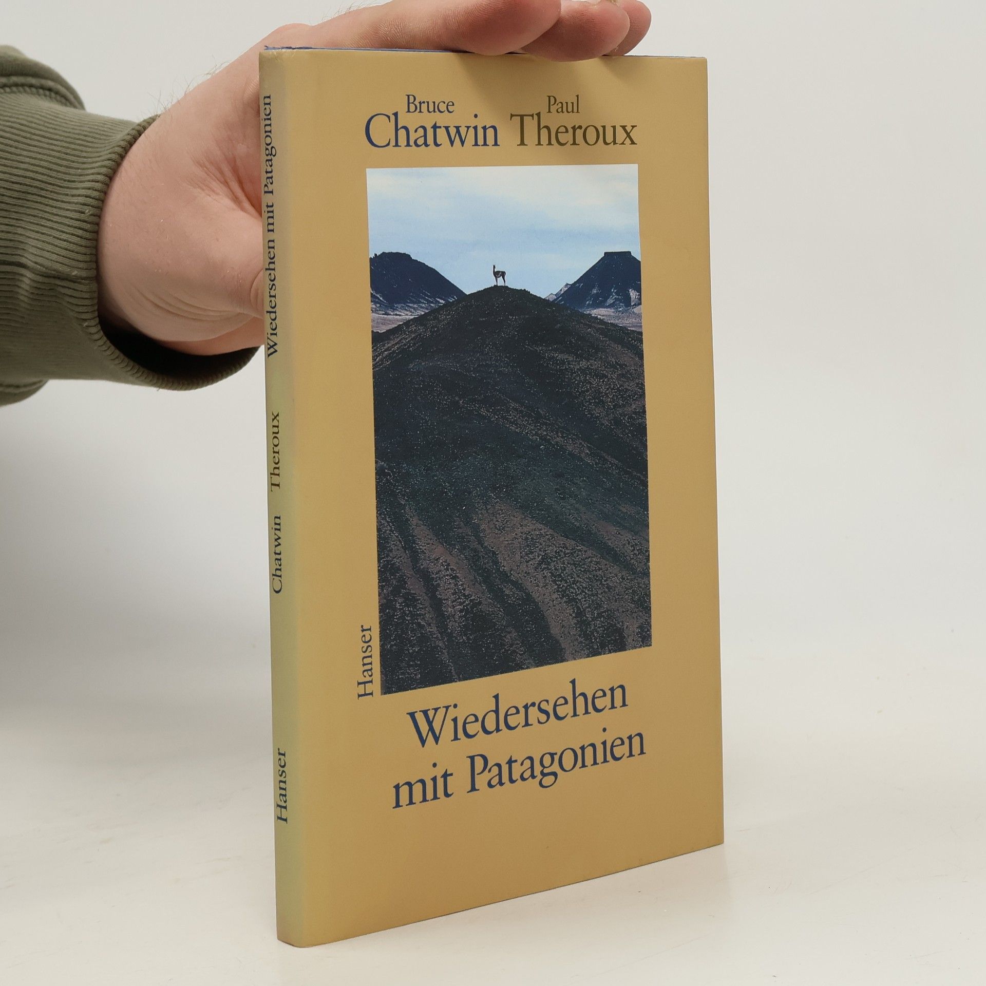 Bruce Chatwin Wiedersehen mit Patagonien
