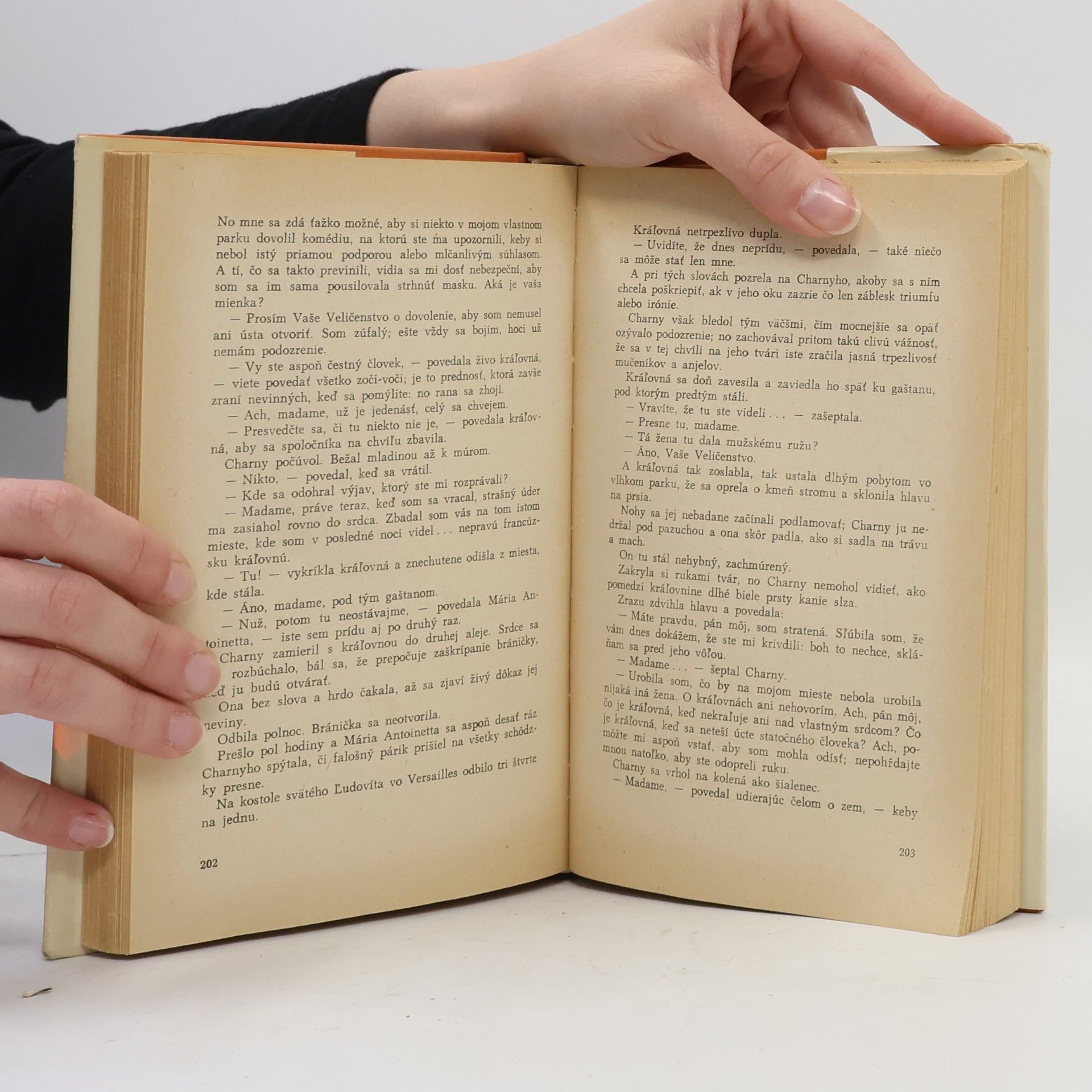 Alexandre Dumas der Ältere Kráľovnin náhrdelník 2