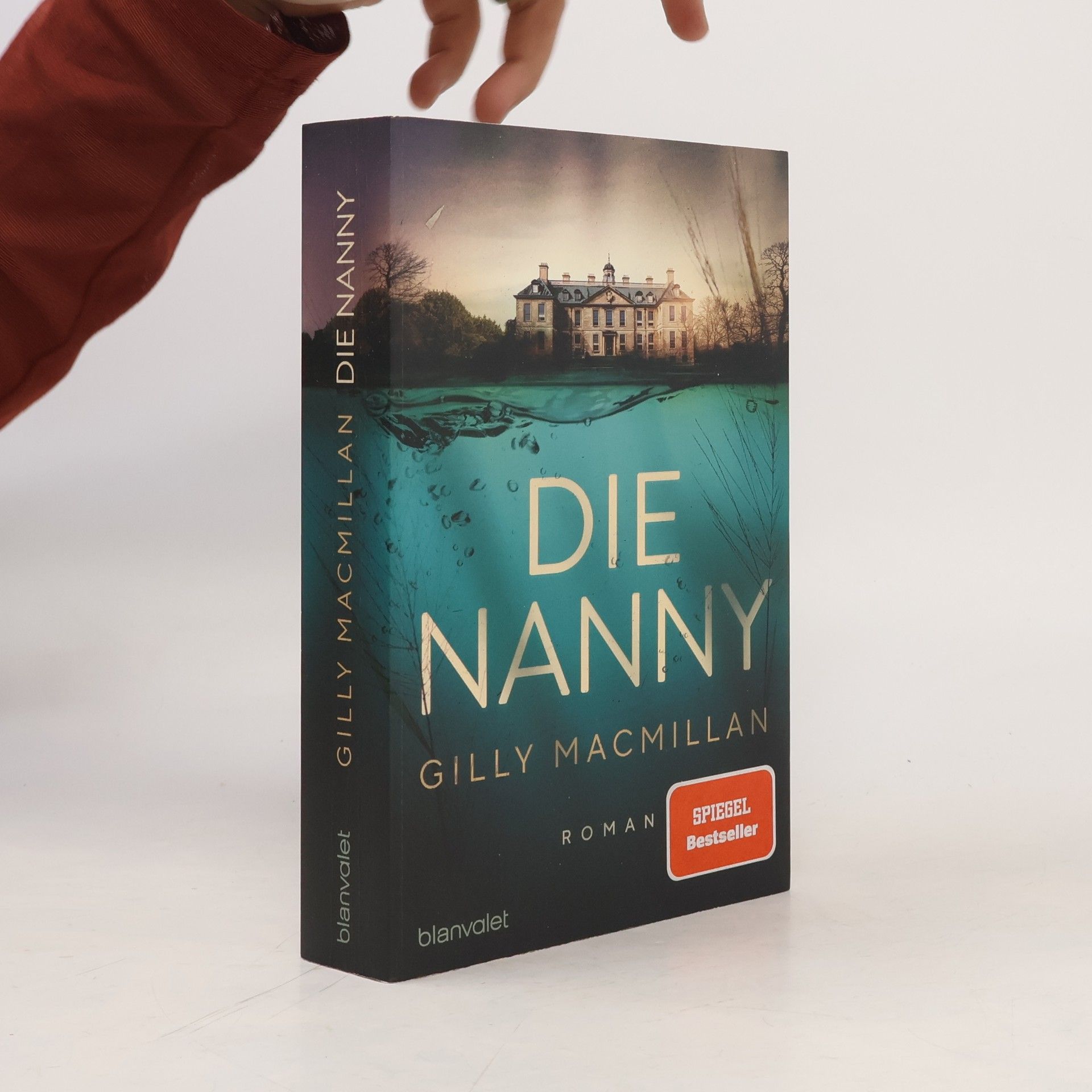 Gilly Macmillan Die Nanny