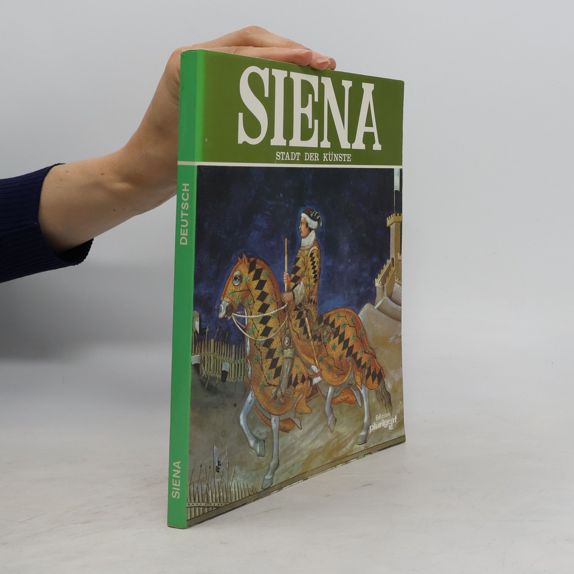 Autorenkollektiv Siena. Stadt der Künste