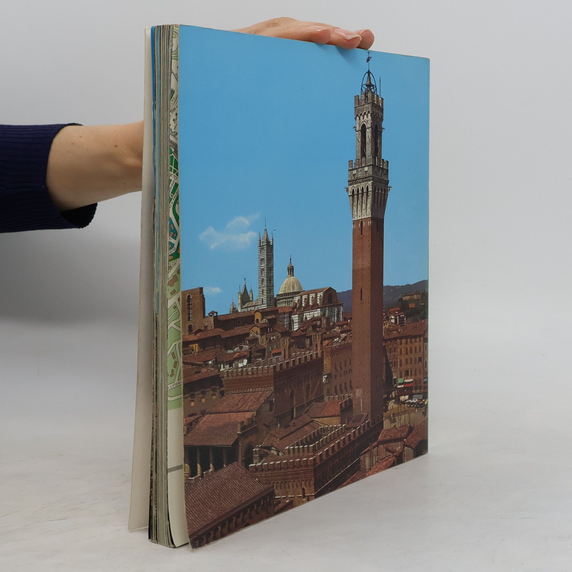 Autorenkollektiv Siena. Stadt der Künste