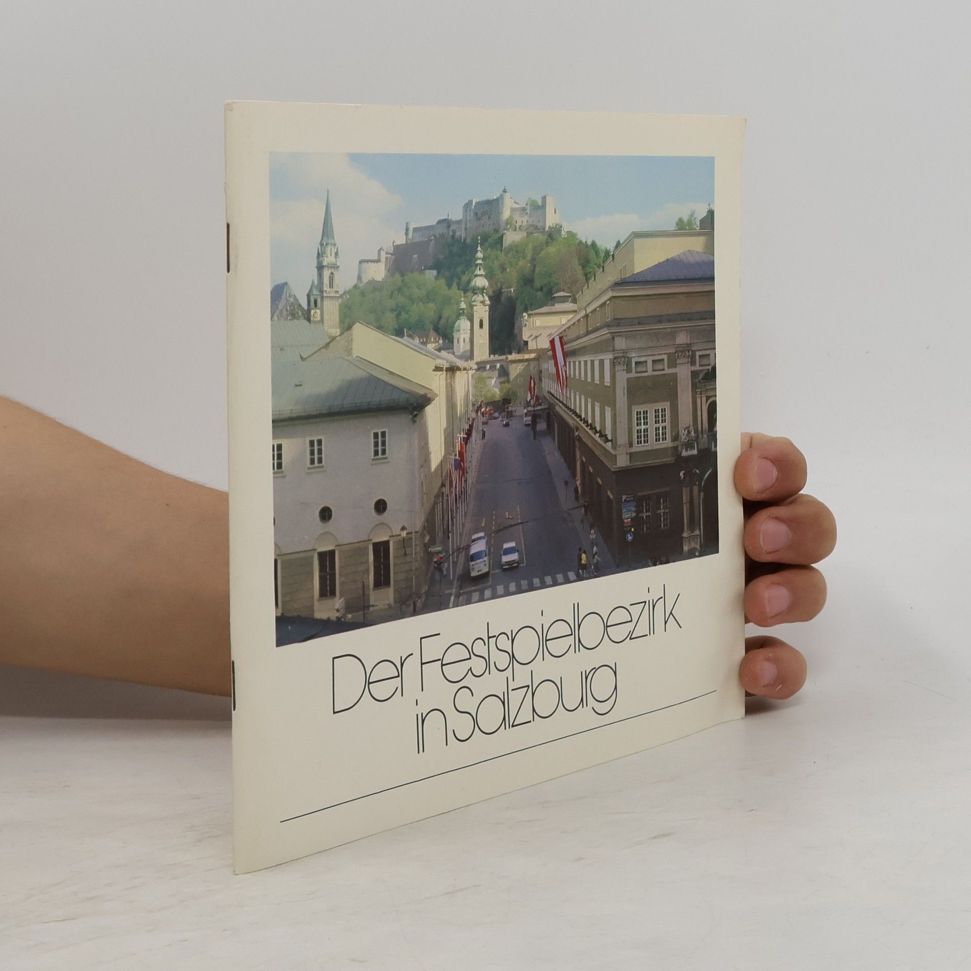Der Festspielbezirk in Salzburg