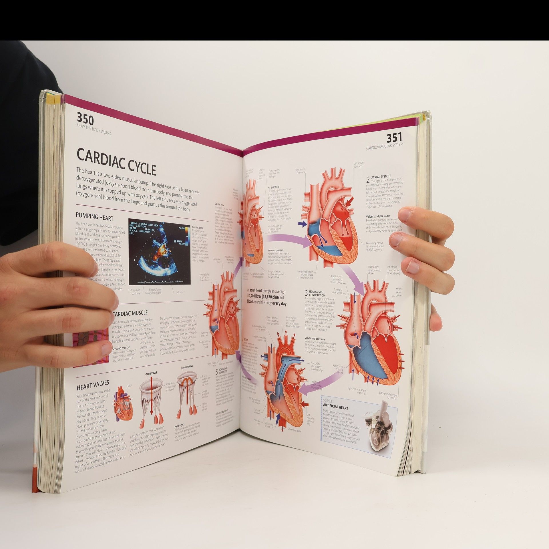 Alice Roberts The Complete Human Body