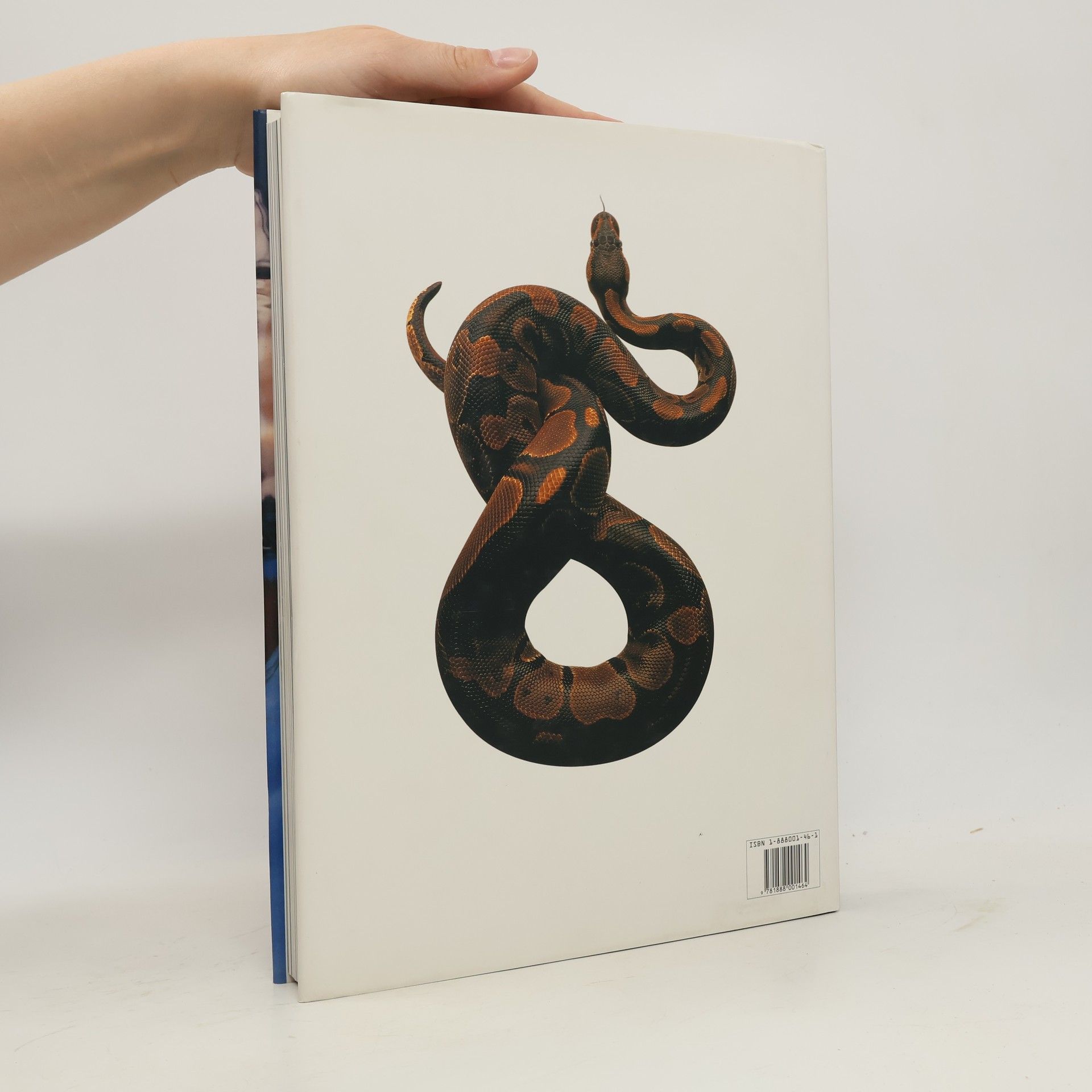 Martin Pedersen Photo Annual 1998. The International Annual of Photography