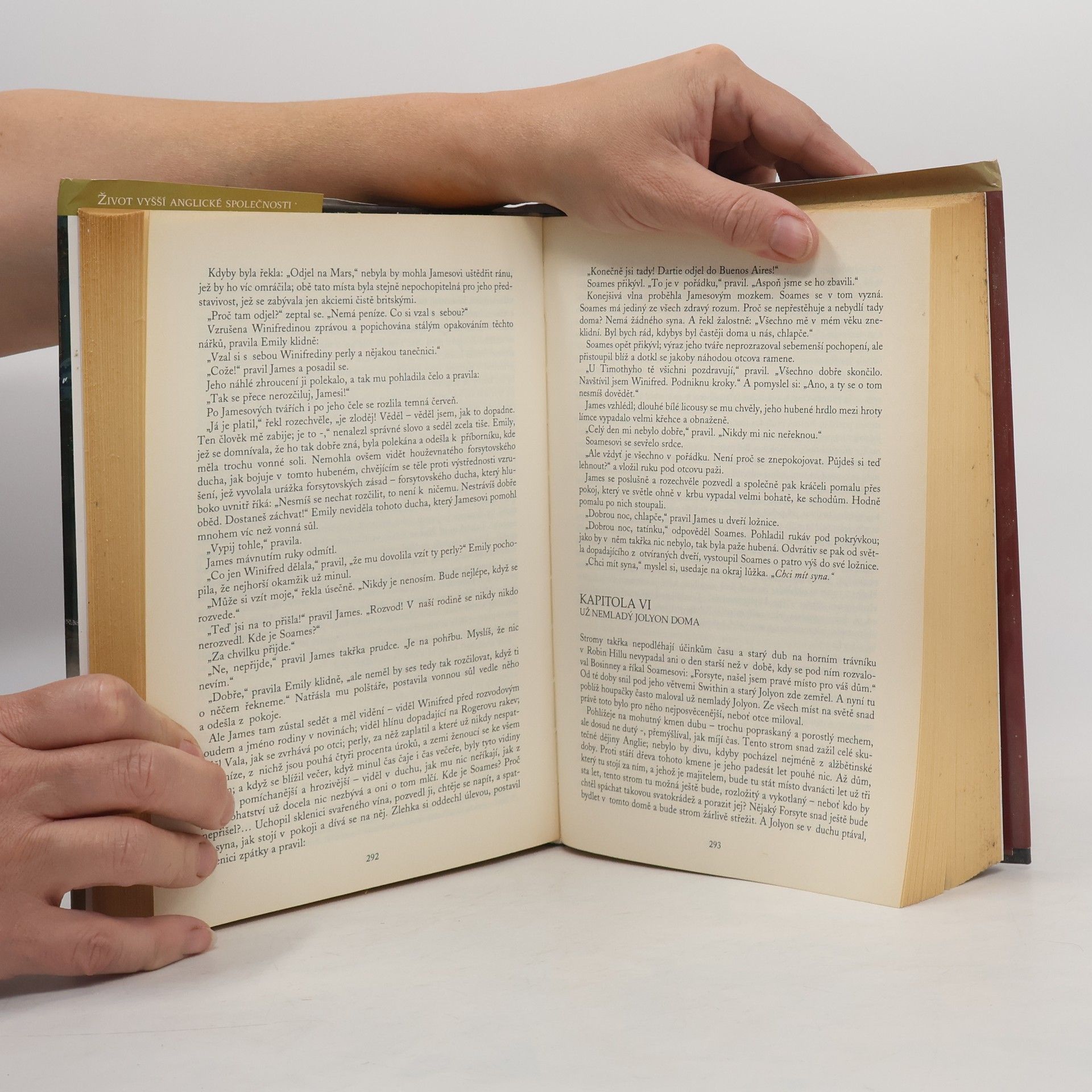 John Galsworthy Sága rodu Forsytů