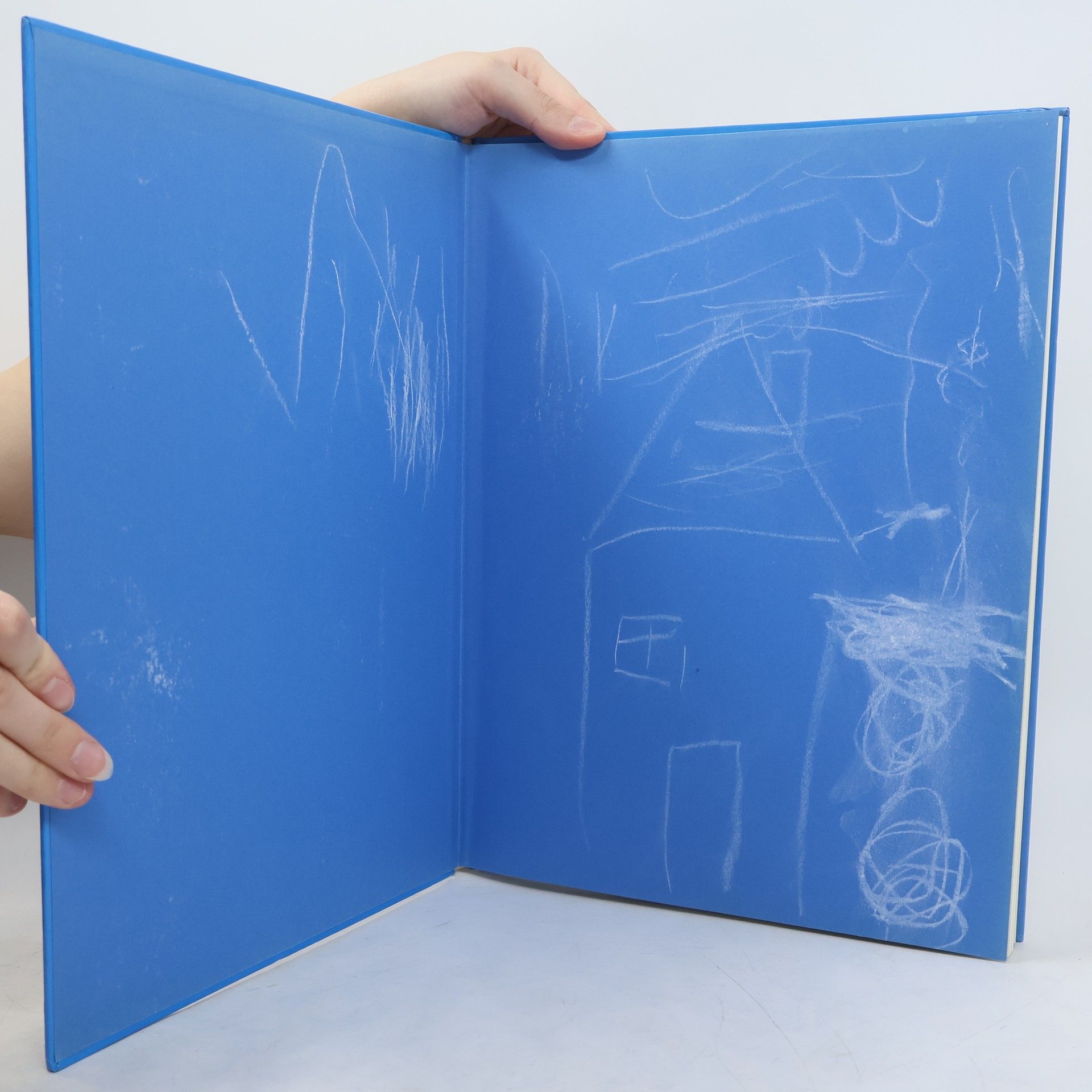 Susanna Van Rose Picture Atlases: The Earth Atlas