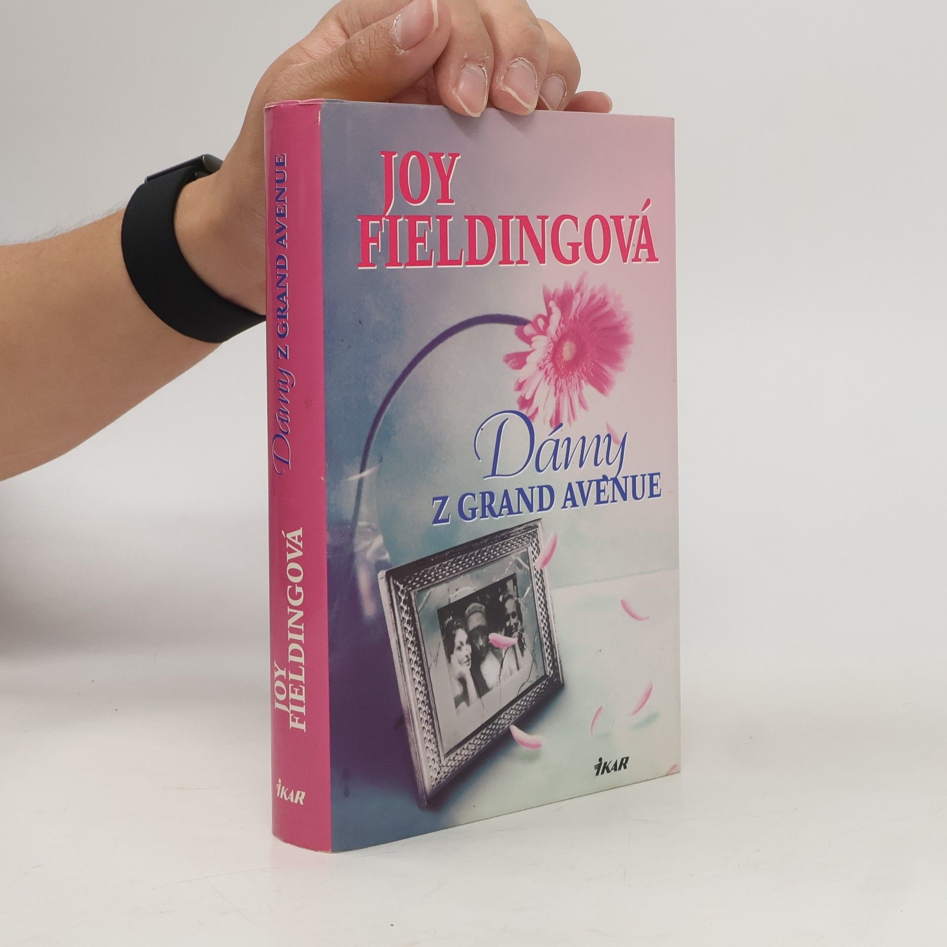 Joy Fielding Dámy z Grand Avenue