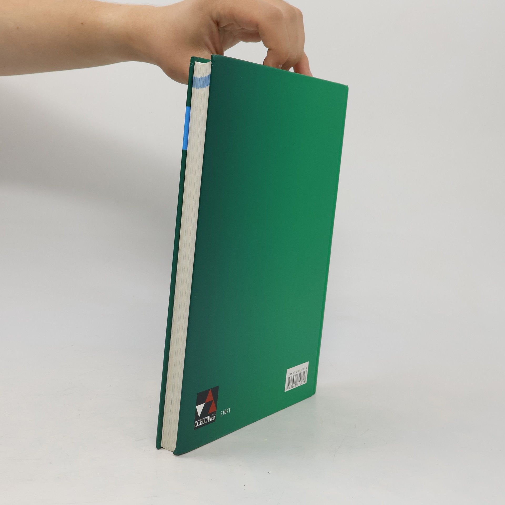 Michaela Egbers Politik & Co. Neu 2 Lehrbuch Niedersachsen