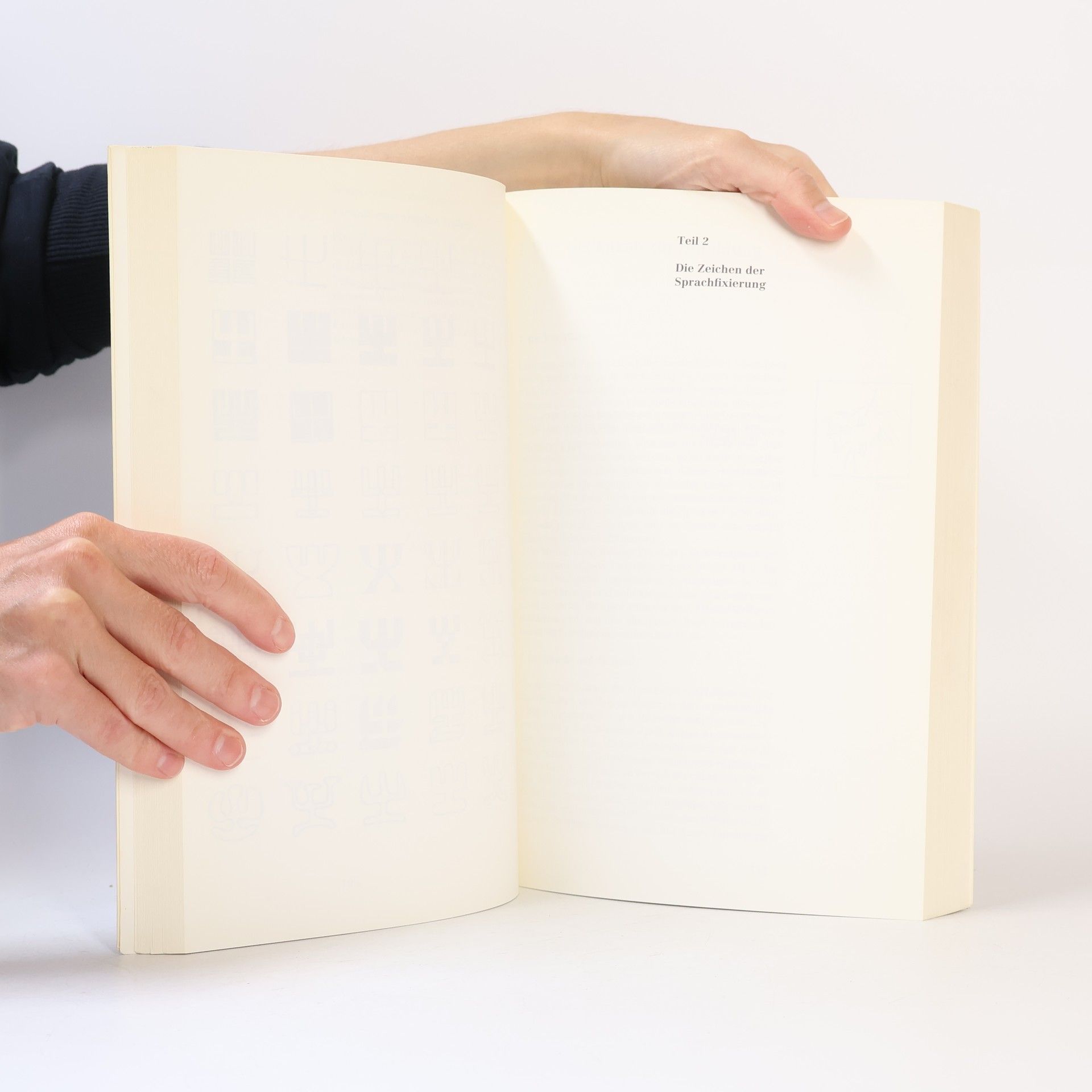 Adrian Frutiger Der Mensch und seine Zeichen