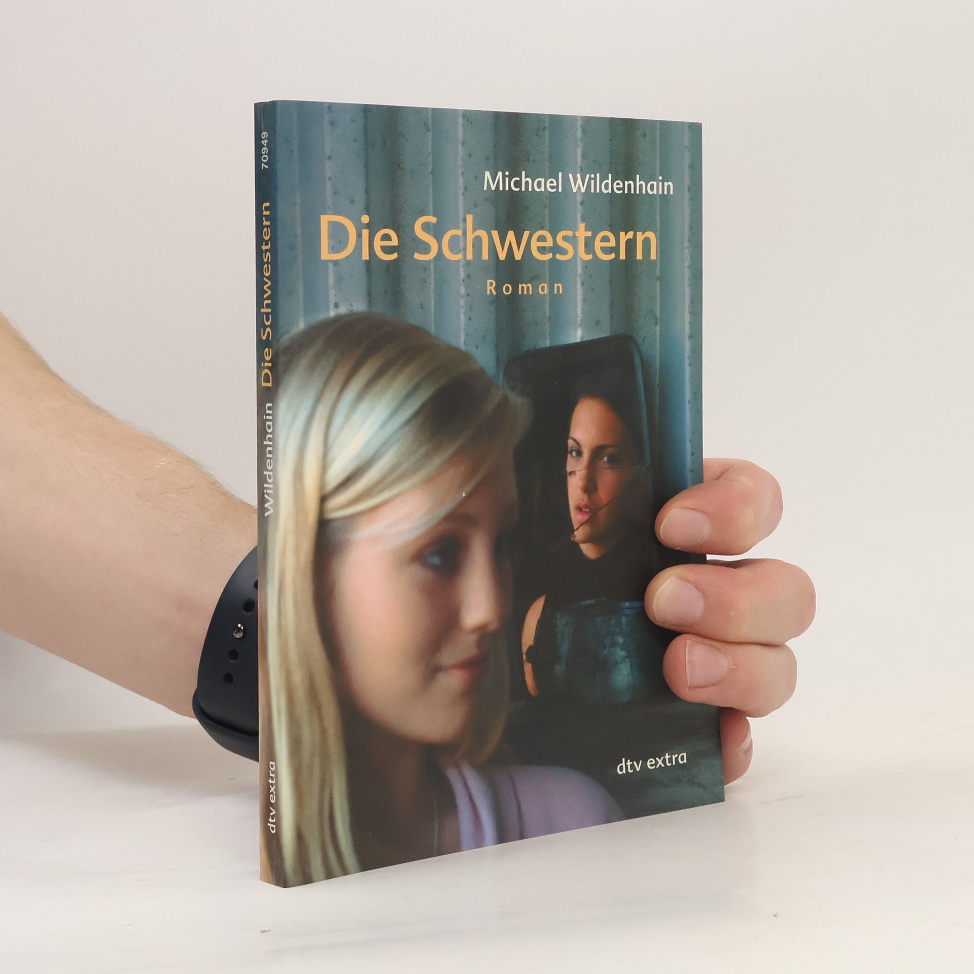 Michael Wildenhain Die Schwestern
