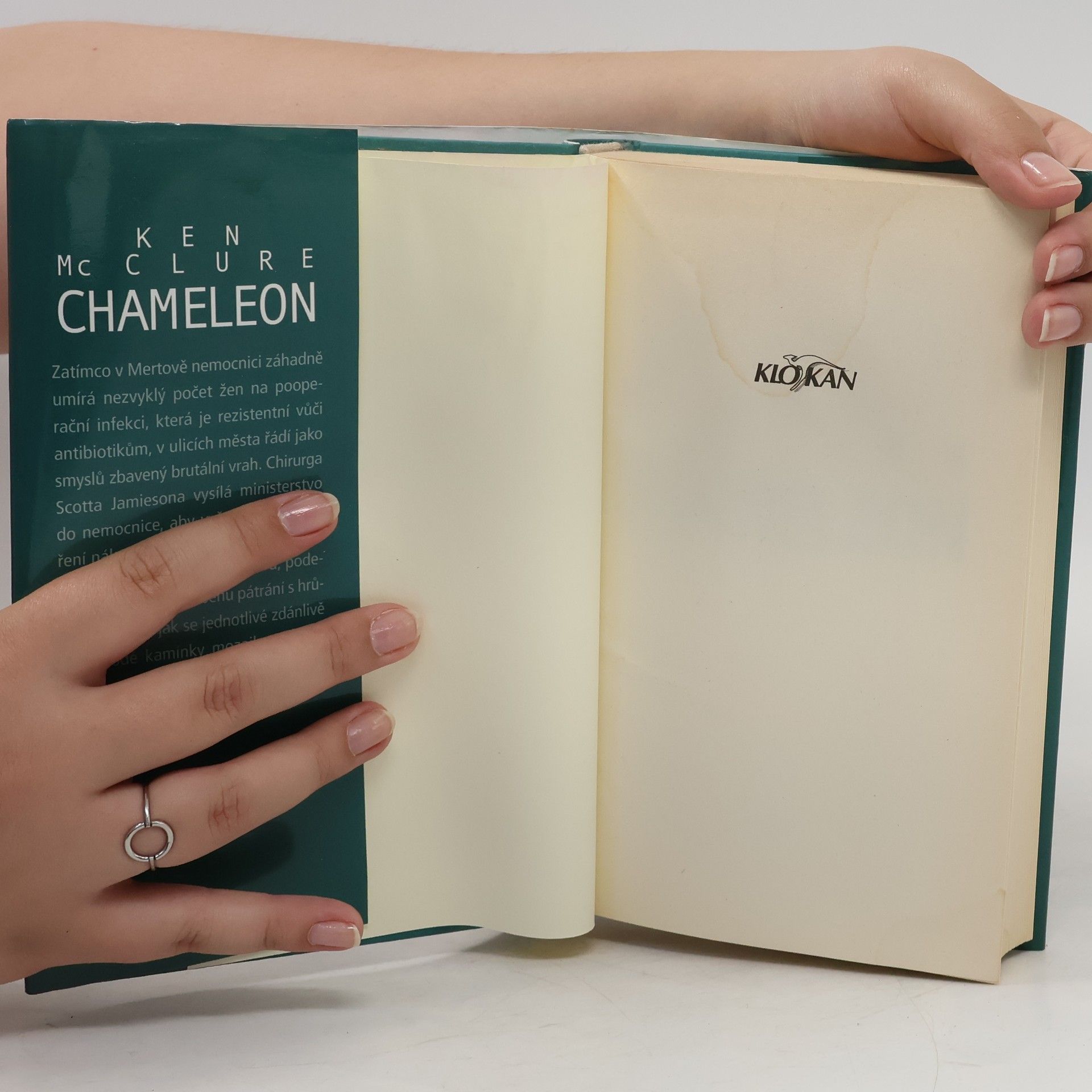 Ken McClure Chameleon