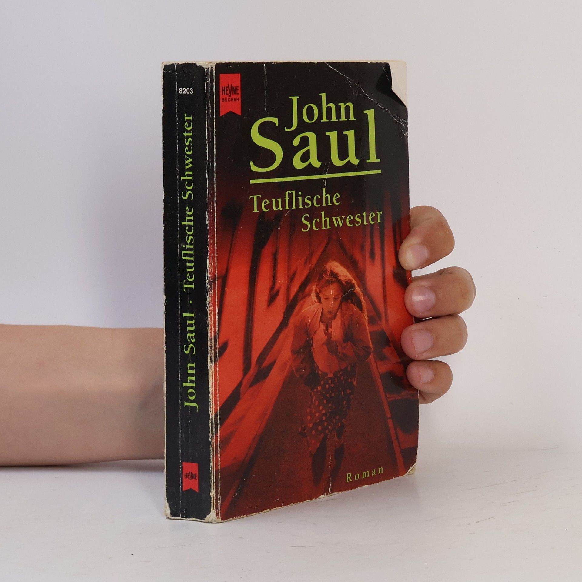 John Saul Teuflische Schwester