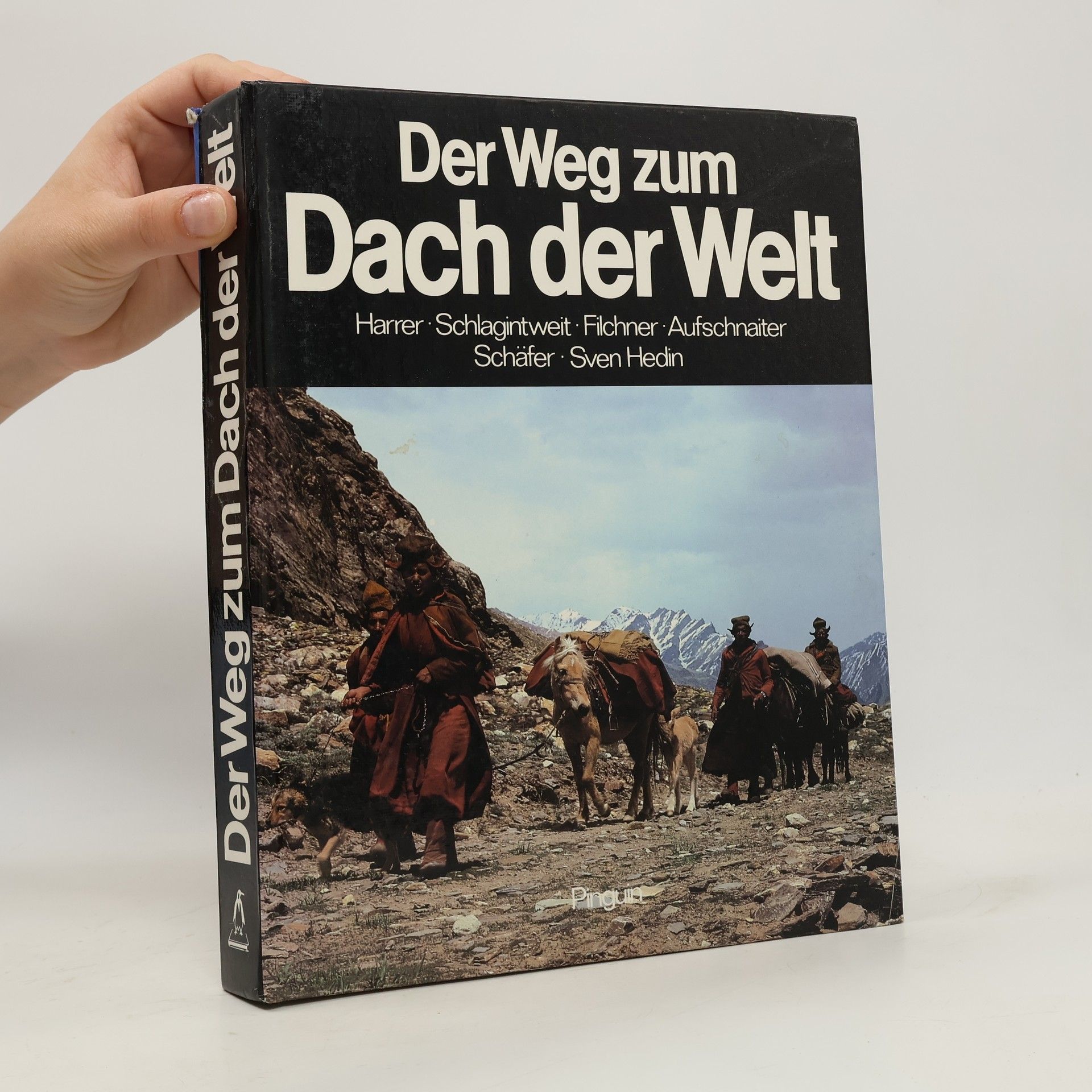 Claudius Müller Der Weg zum Dach der Welt