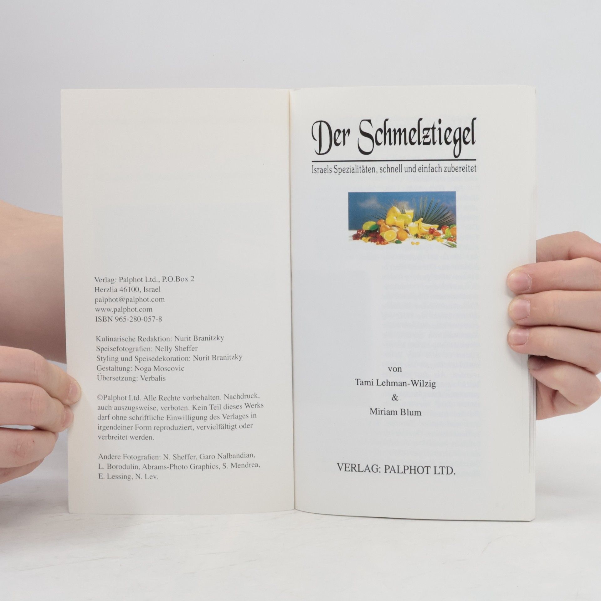 Tami Lehman-Wilzig Der Schmelztiegel