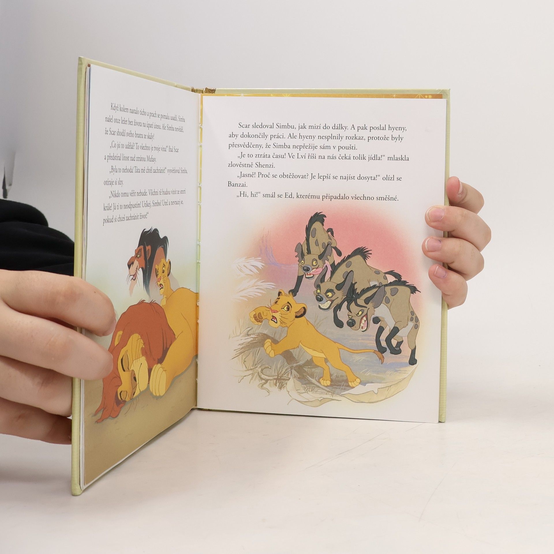 Autorenkollektiv Zlatá sbírka pohádek 1. Lví král