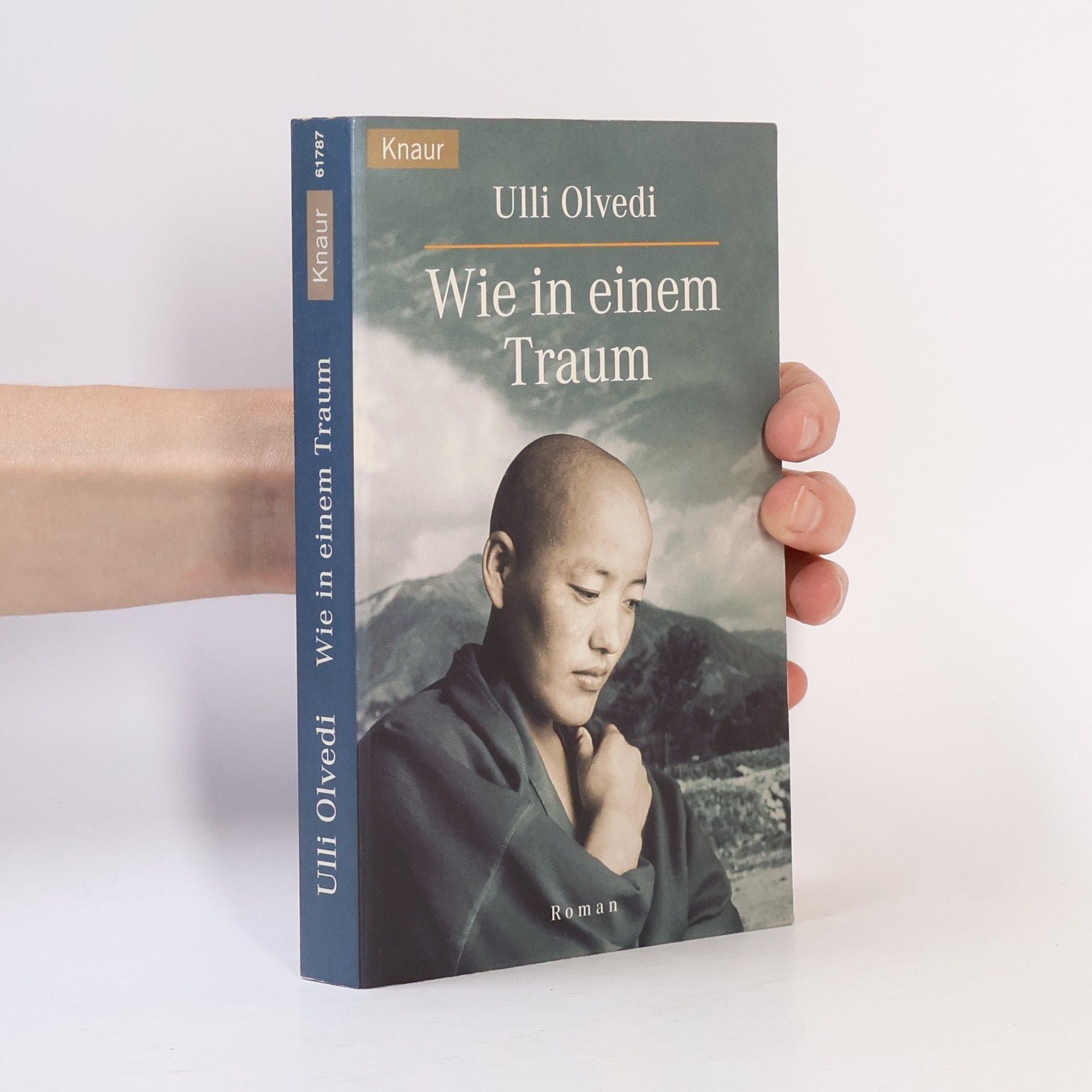 Ulli Olvedi Wie in einem Traum