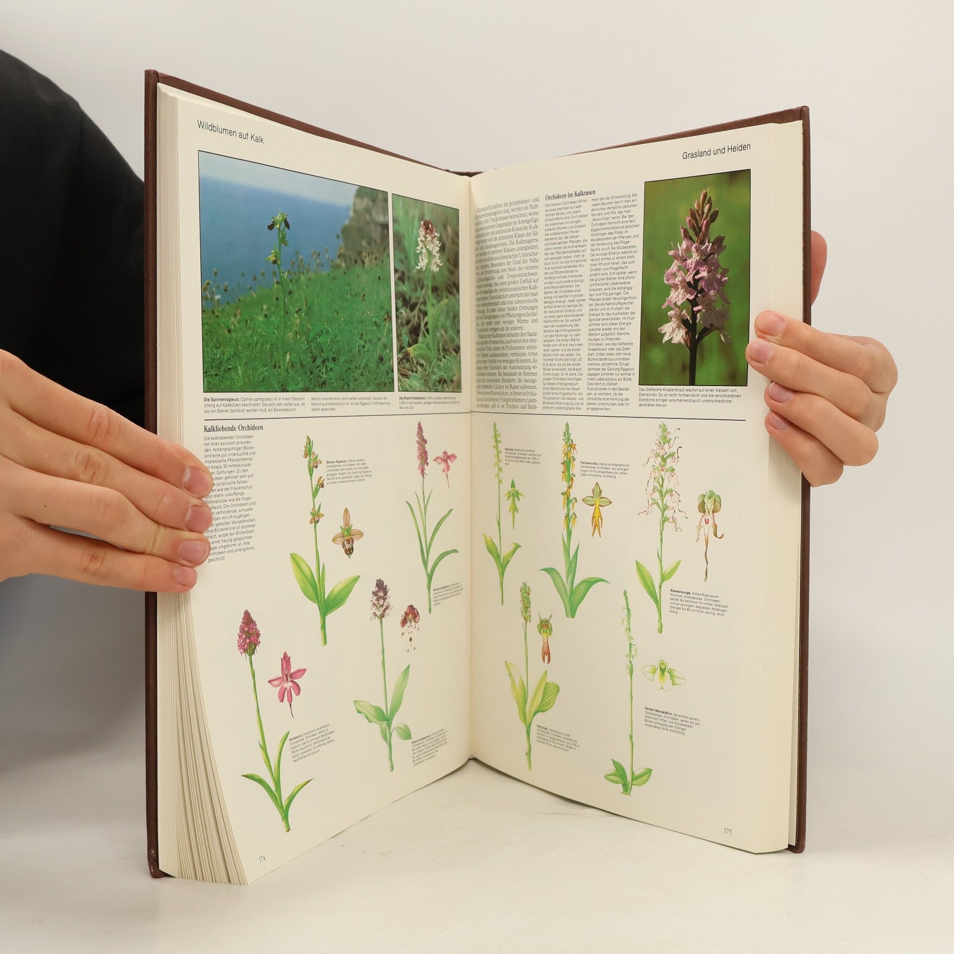Autorenkollektiv Unsere Natur – Wunder und Geheimnis