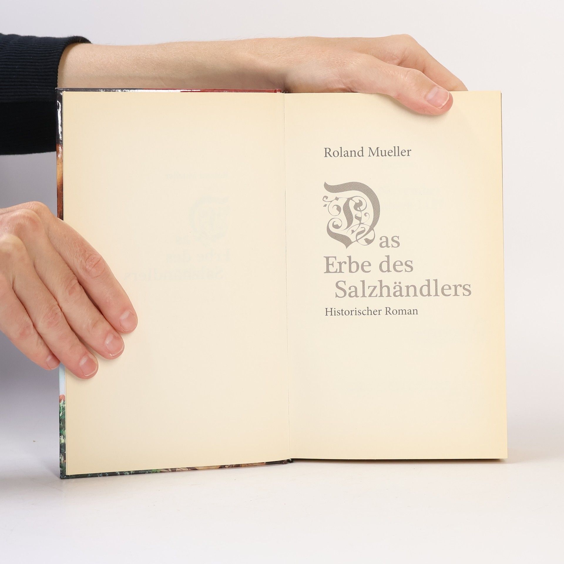 Roland Mueller Das Erbe des Salzhändlers