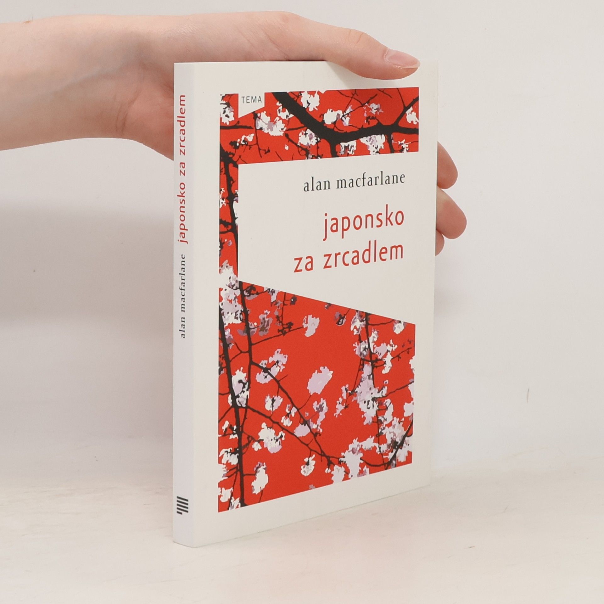 Japonsko za zrcadlem