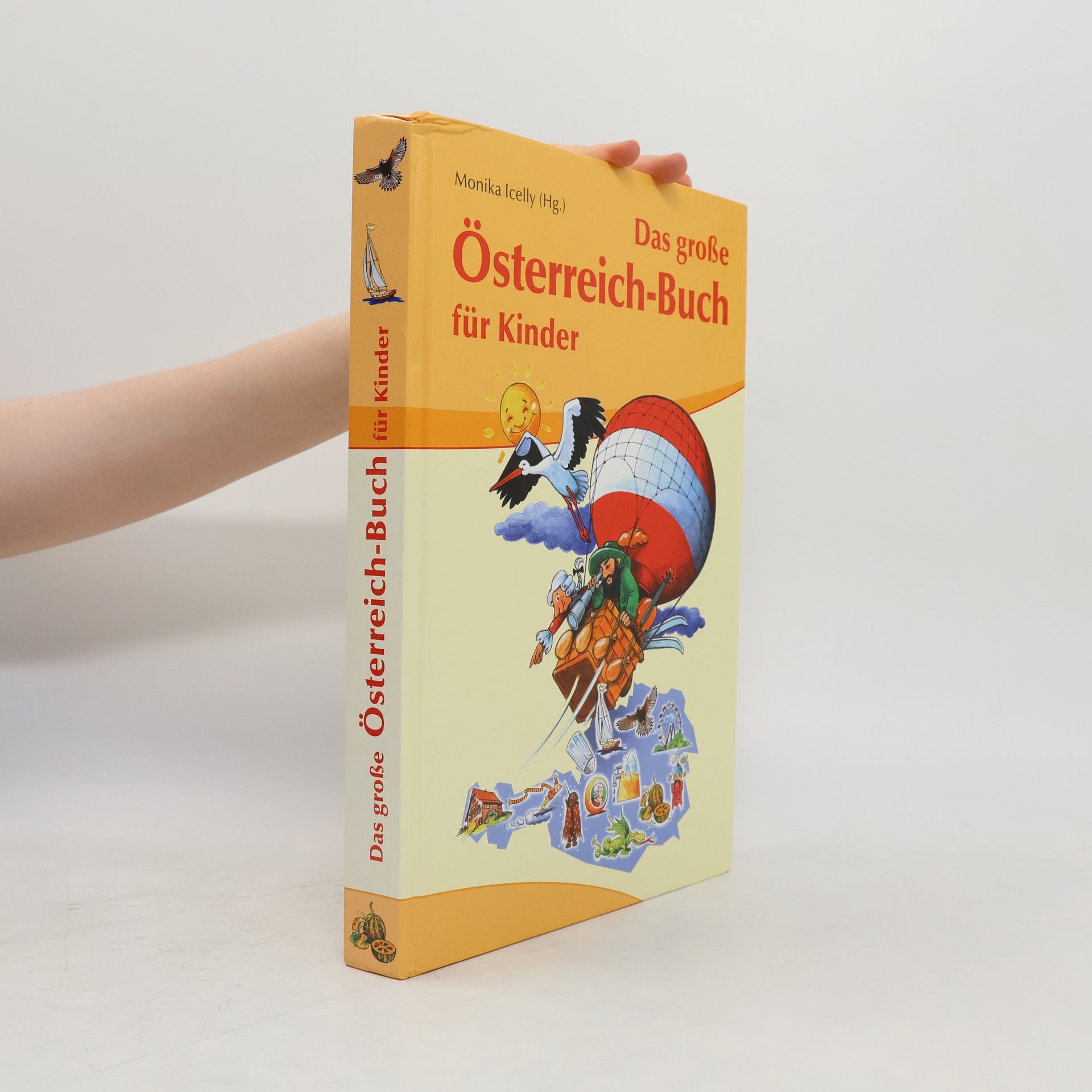 Monika Icelly Das große Österreich-Buch für Kinder