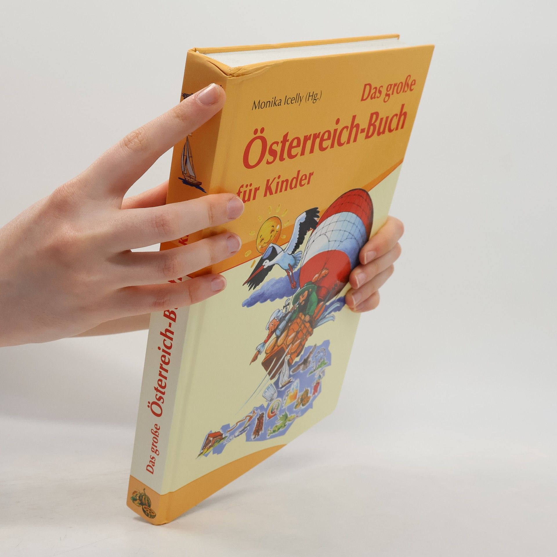 Monika Icelly Das große Österreich-Buch für Kinder