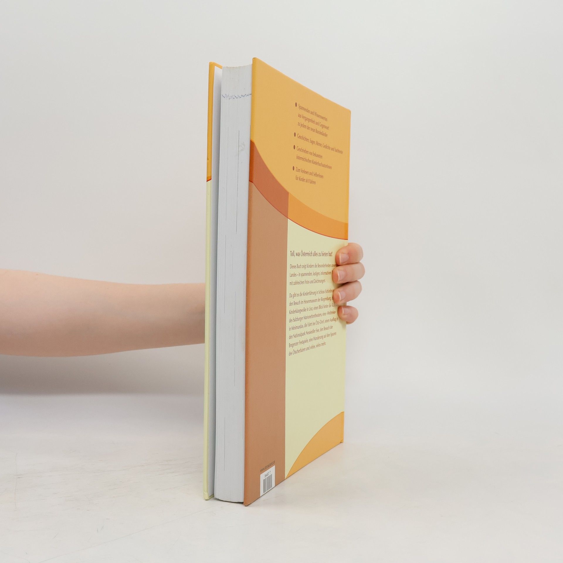 Monika Icelly Das große Österreich-Buch für Kinder