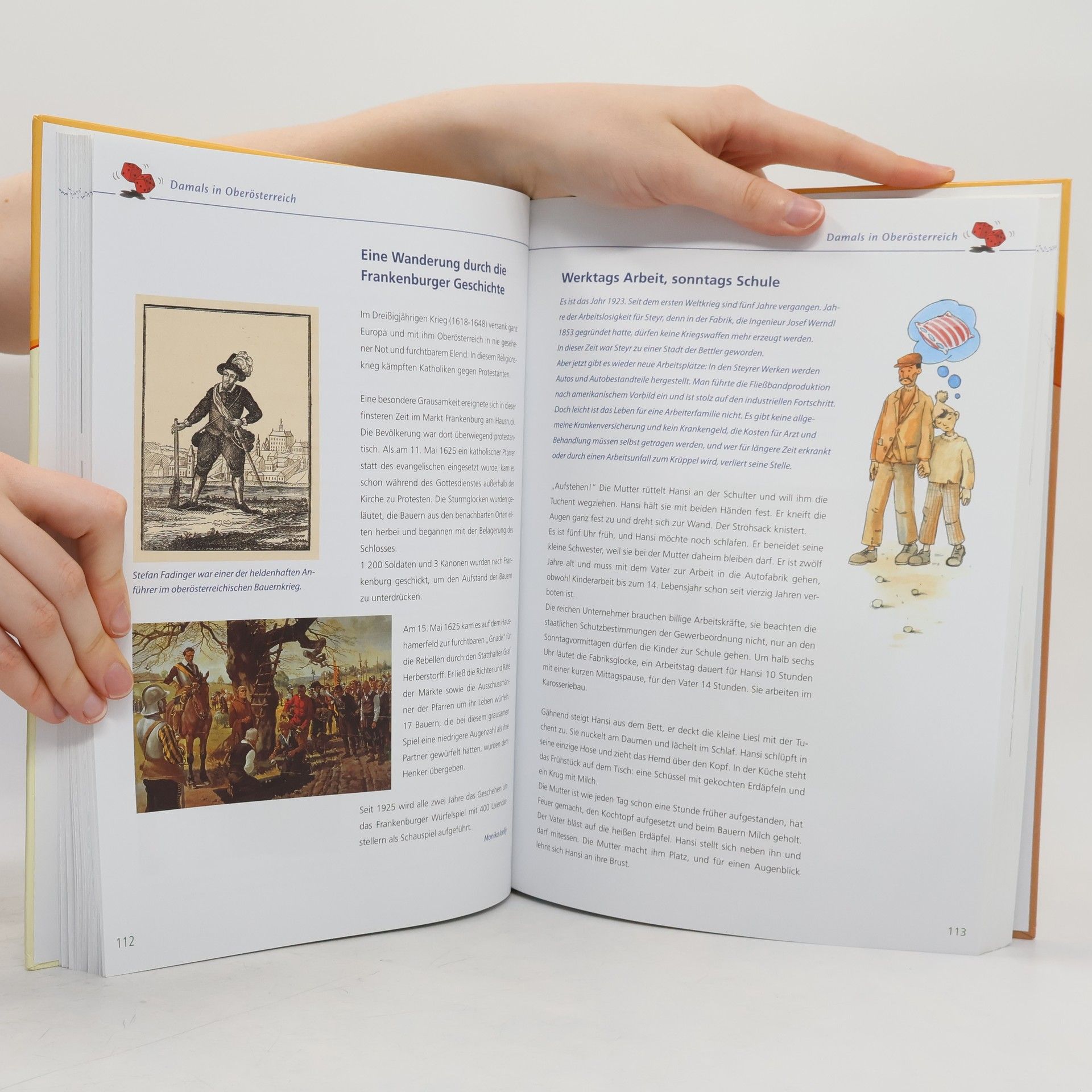 Monika Icelly Das große Österreich-Buch für Kinder