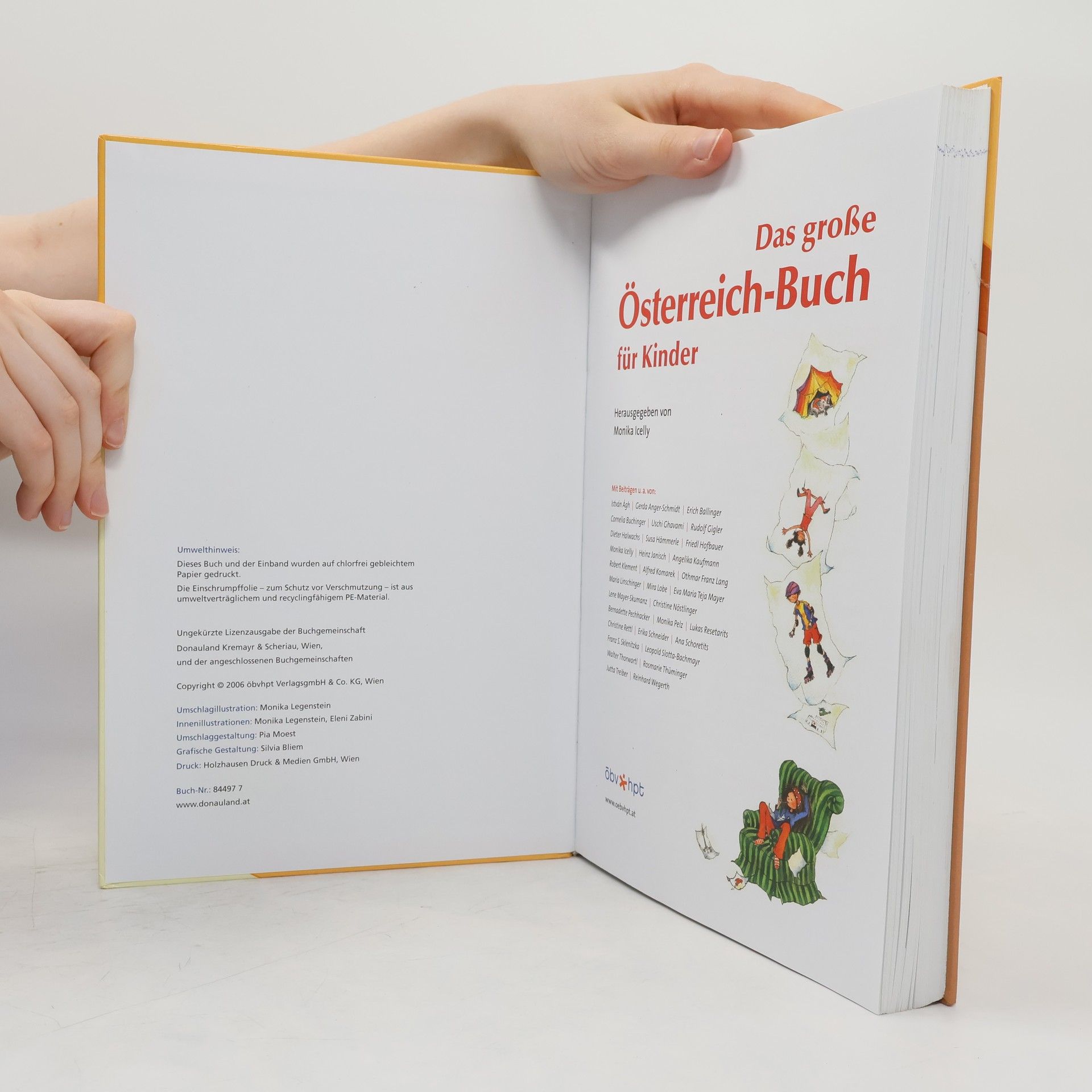 Monika Icelly Das große Österreich-Buch für Kinder