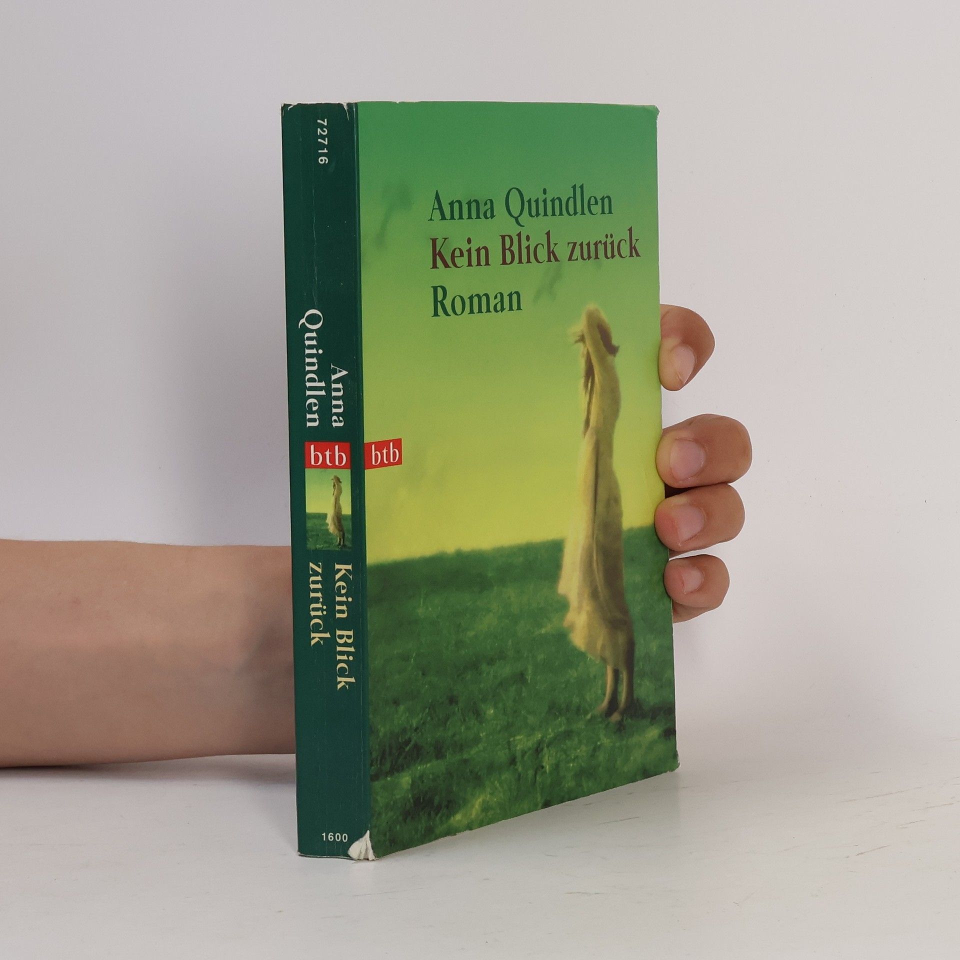 Anna Quindlen Kein Blick zurück