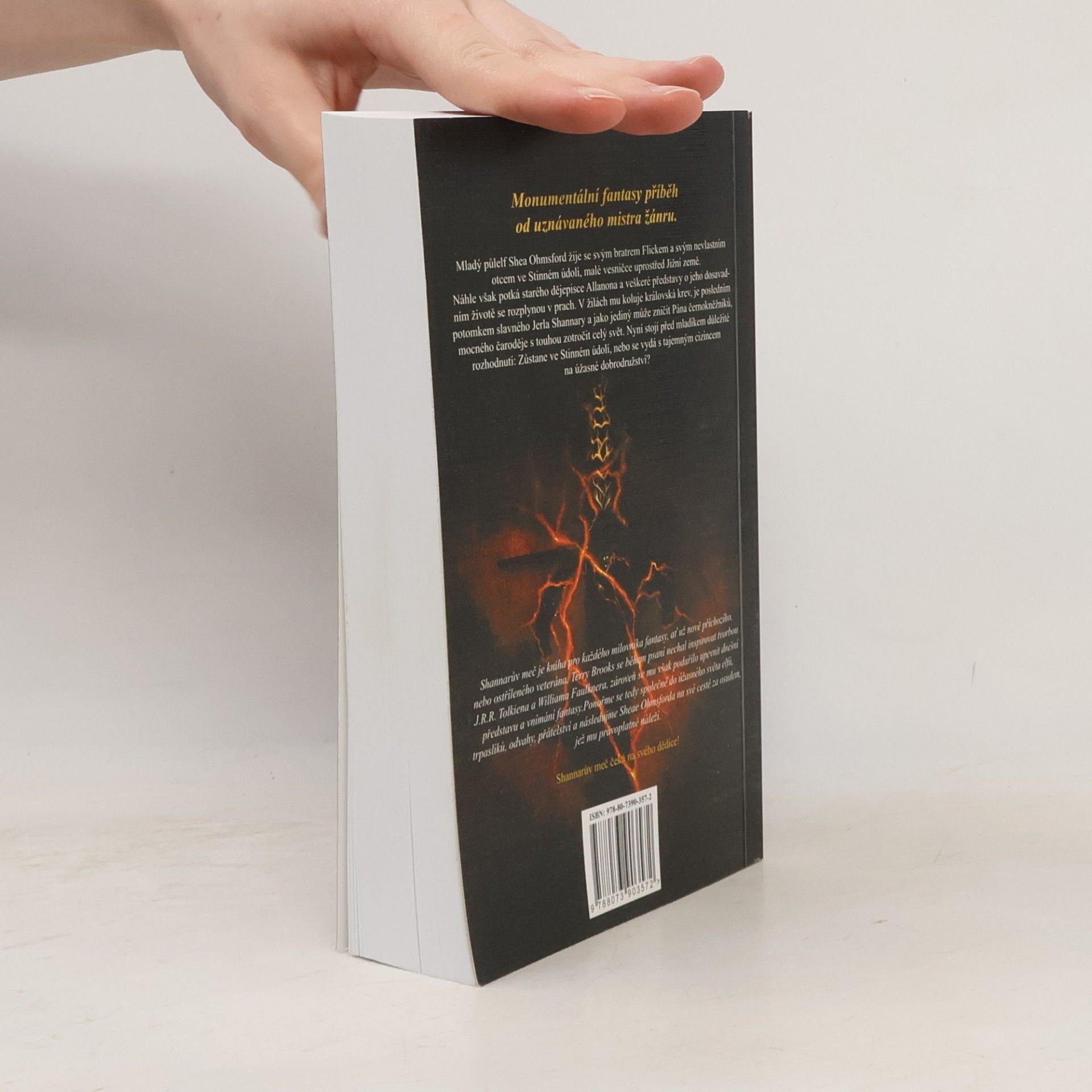 Terry Brooks Shannarův meč