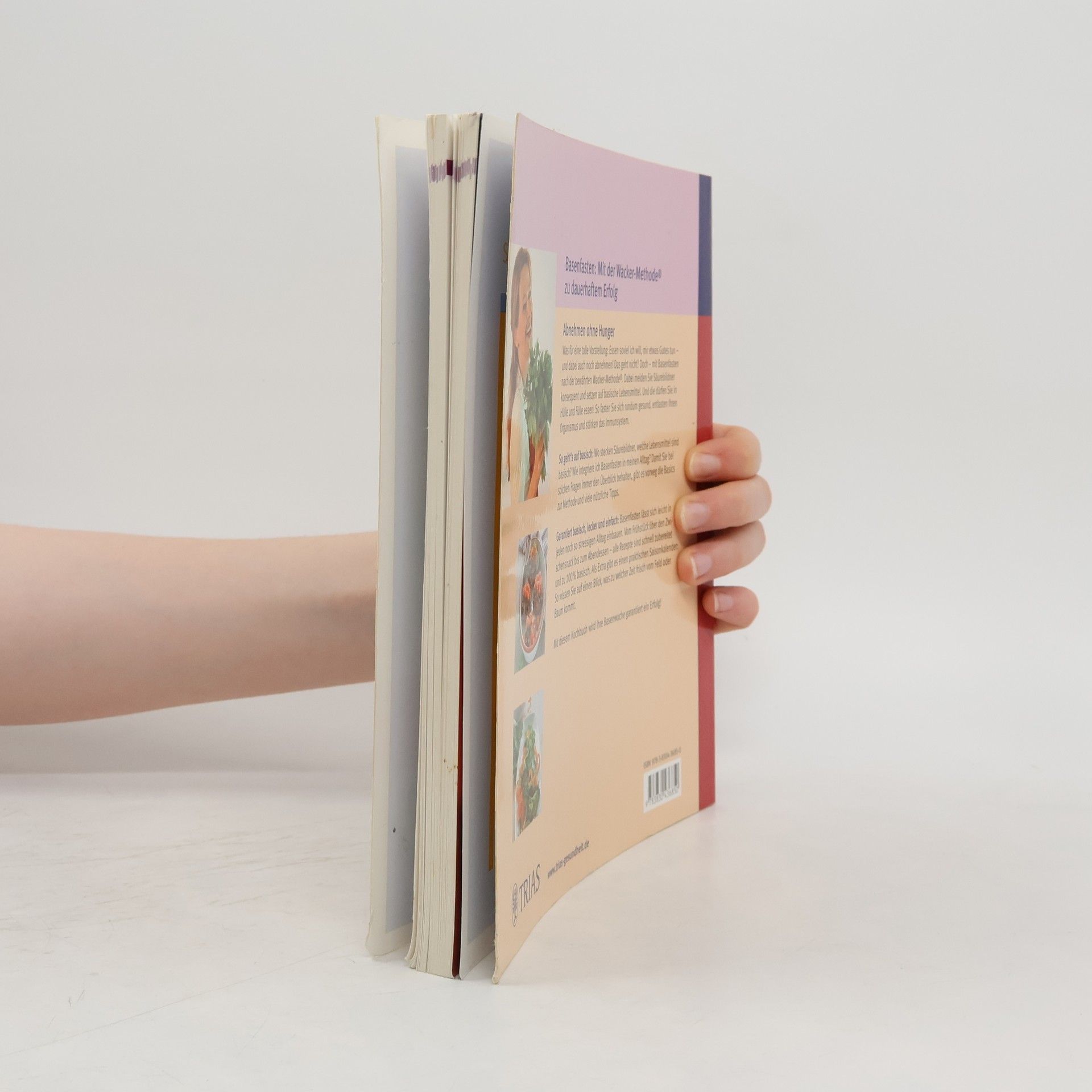 Sabine Wacker Basenfasten - das große Kochbuch