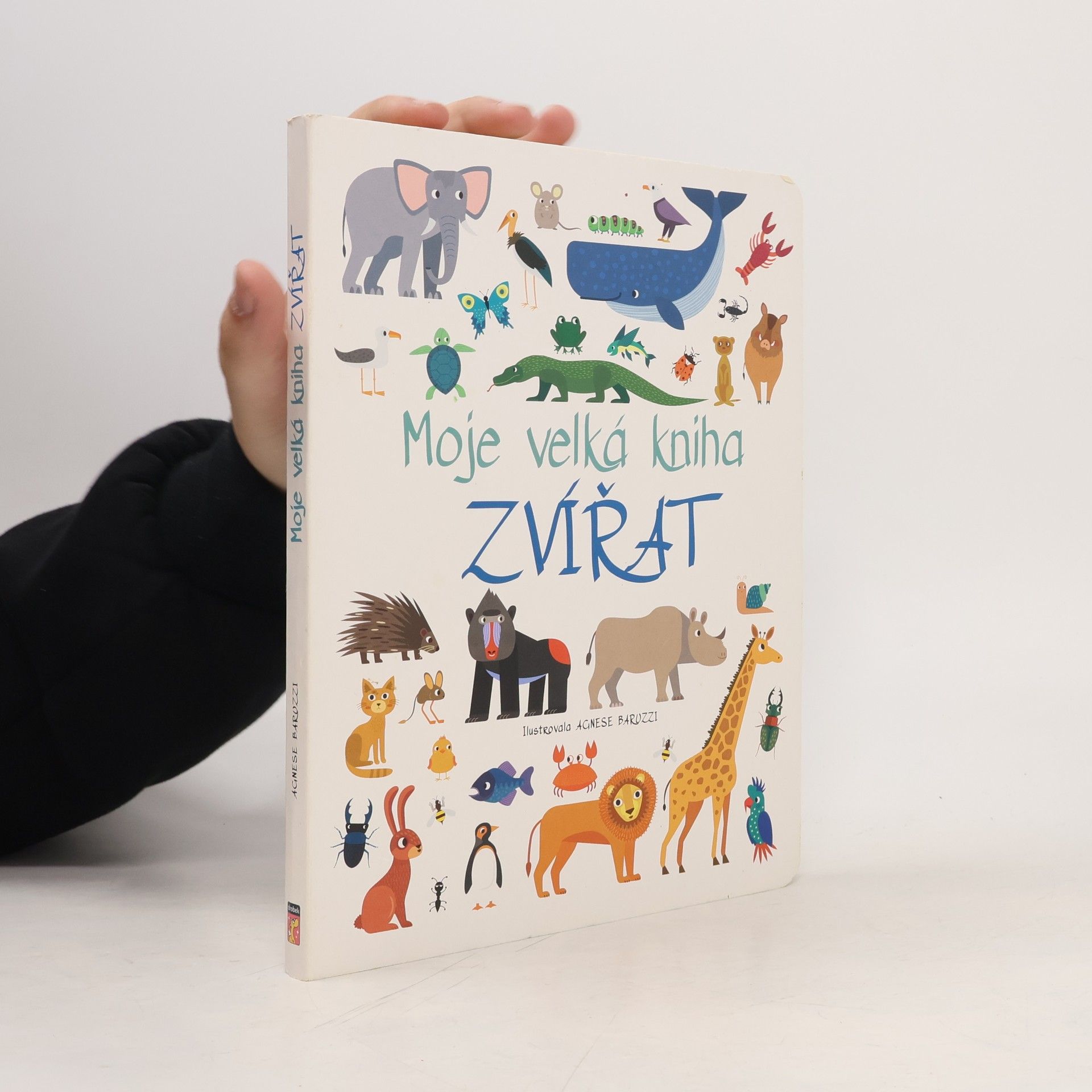 Klára Vajnerová Moje velká kniha zvířat