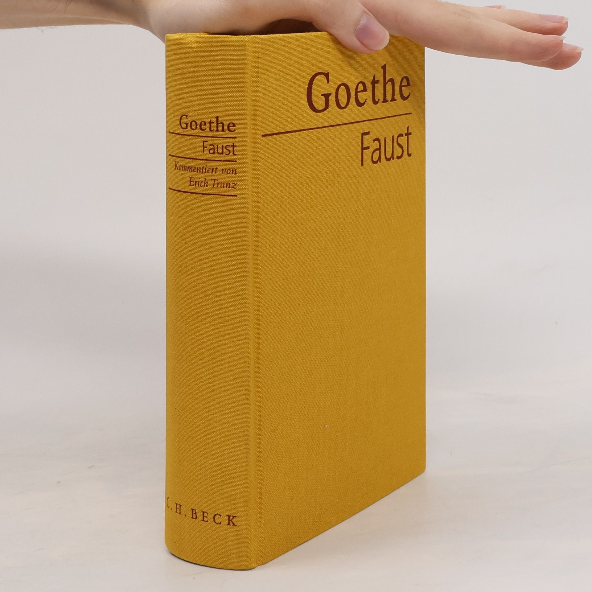 Johann Wolfgang von Goethe Faust