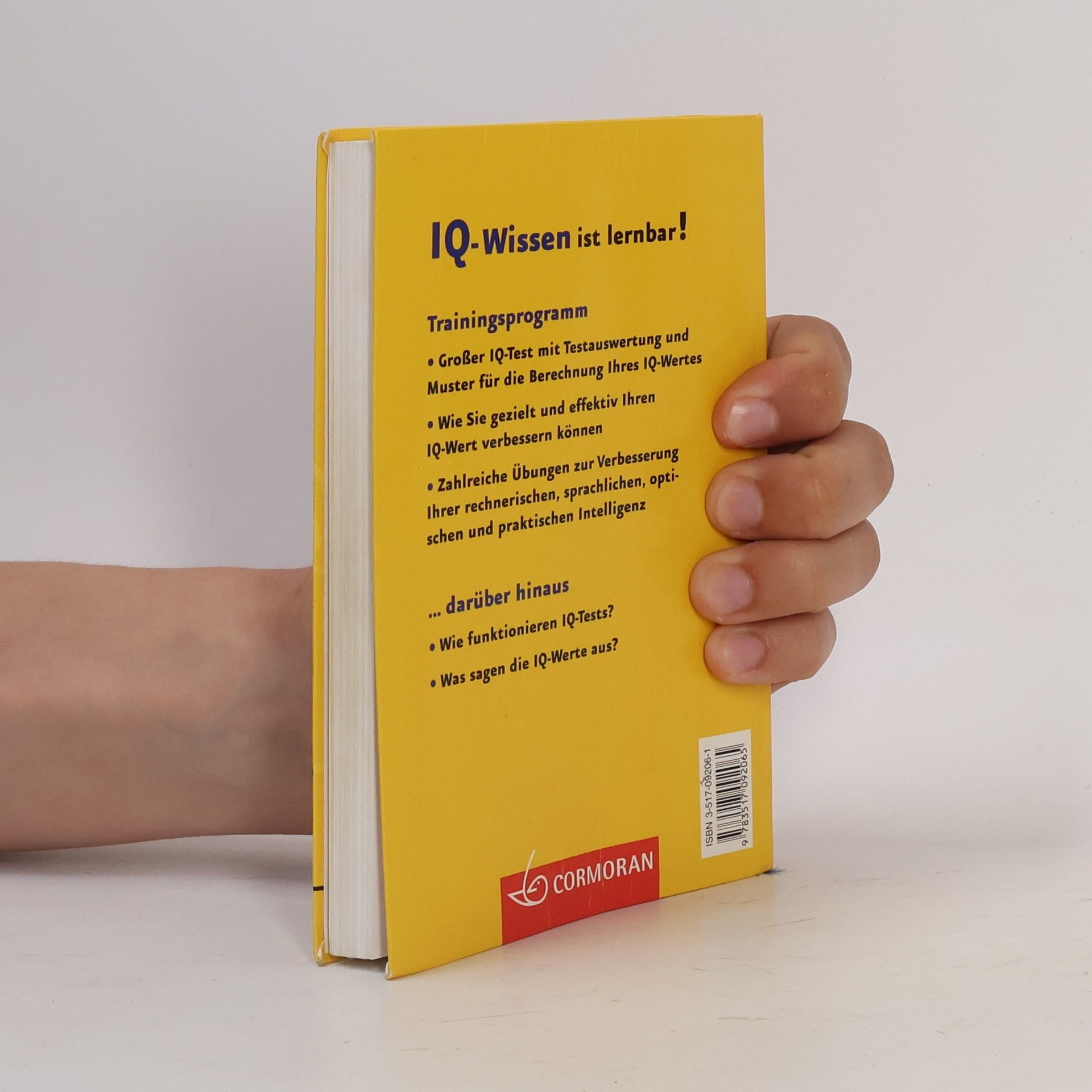Autorenkollektiv Der kleine IQ-Trainer