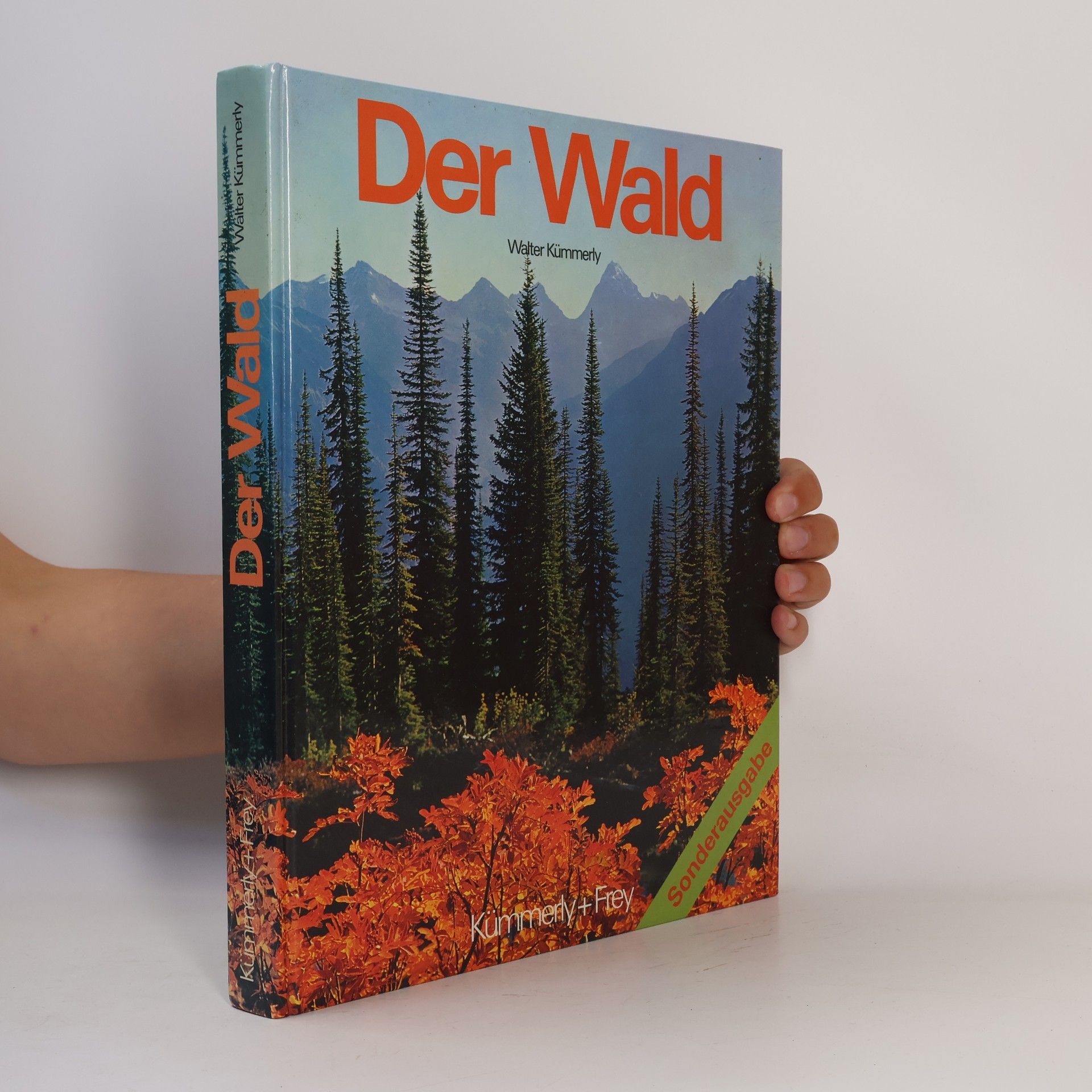 Walter Kümmerly Der Wald