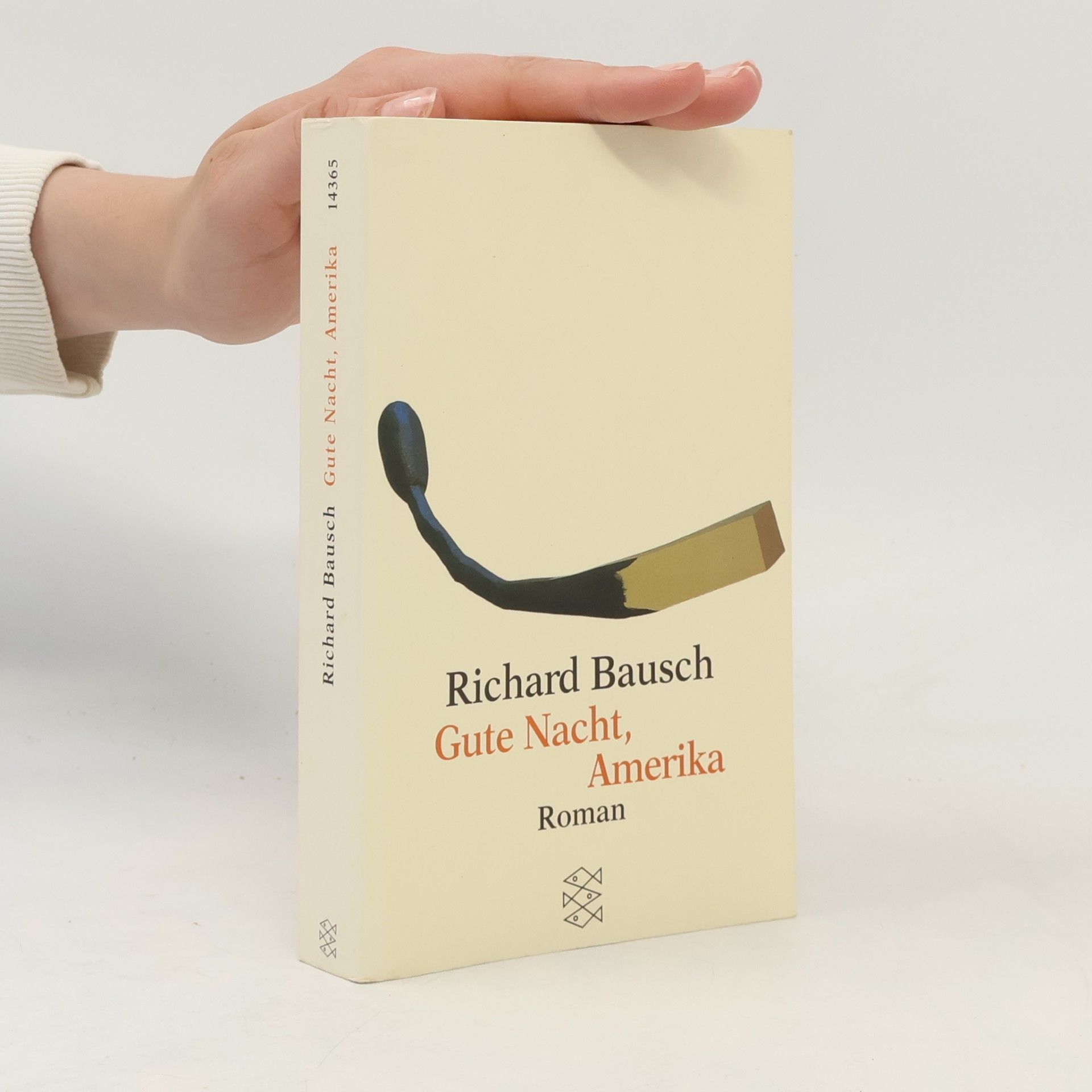 Richard Bausch Gute Nacht, Amerika