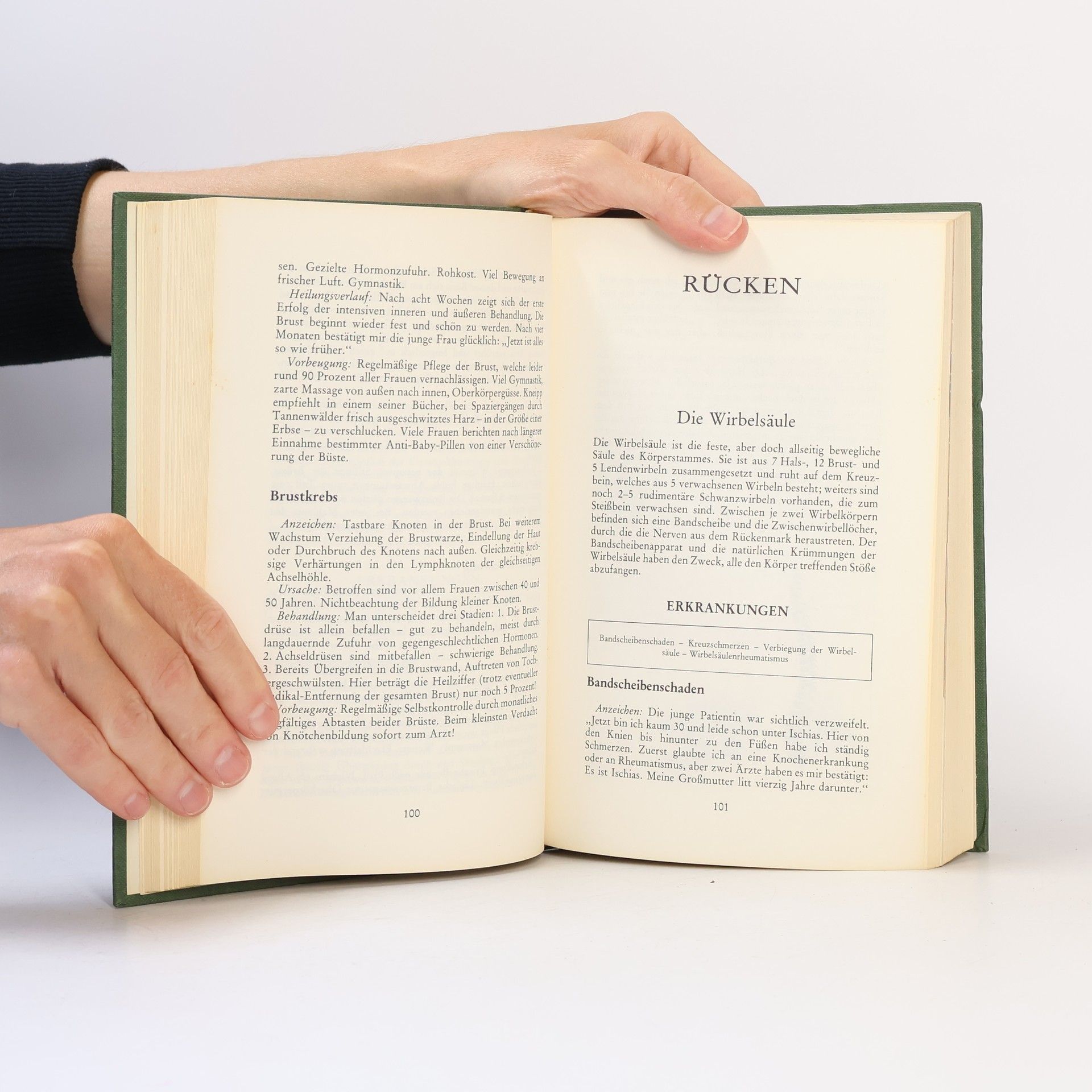 Helmut Löffler Das Hausbuch der Naturheilkunde