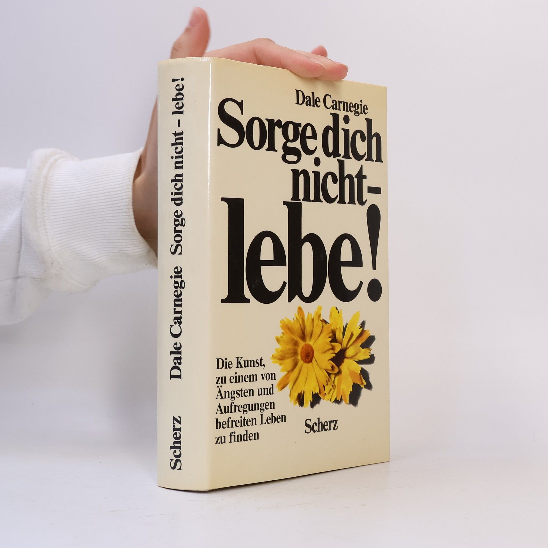 Dale Carnegie Sorge dich nicht - lebe!