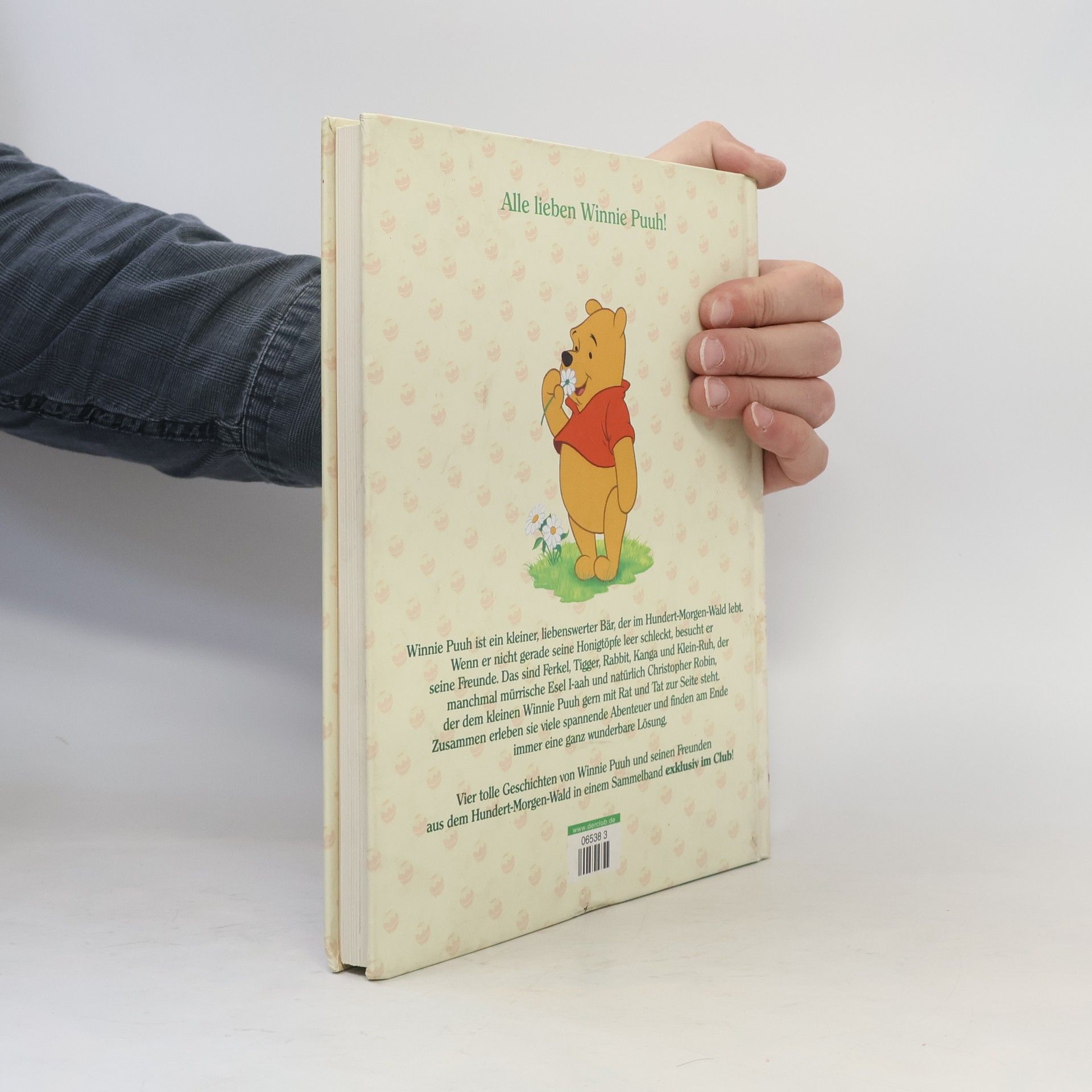 Autores varios Winnie Puuh's Abenteuer