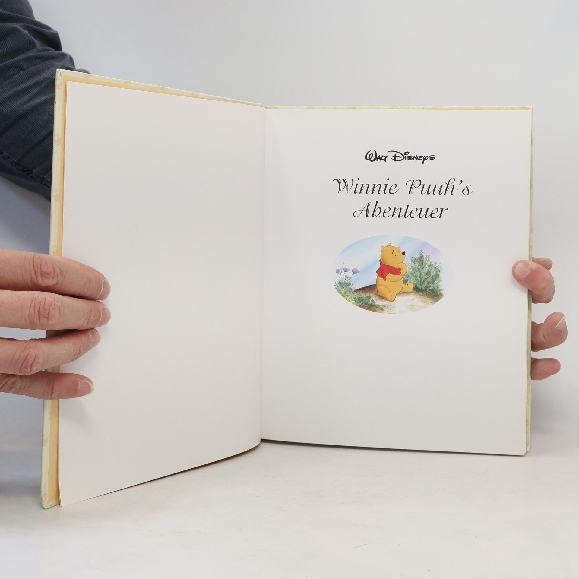 Autores varios Winnie Puuh's Abenteuer