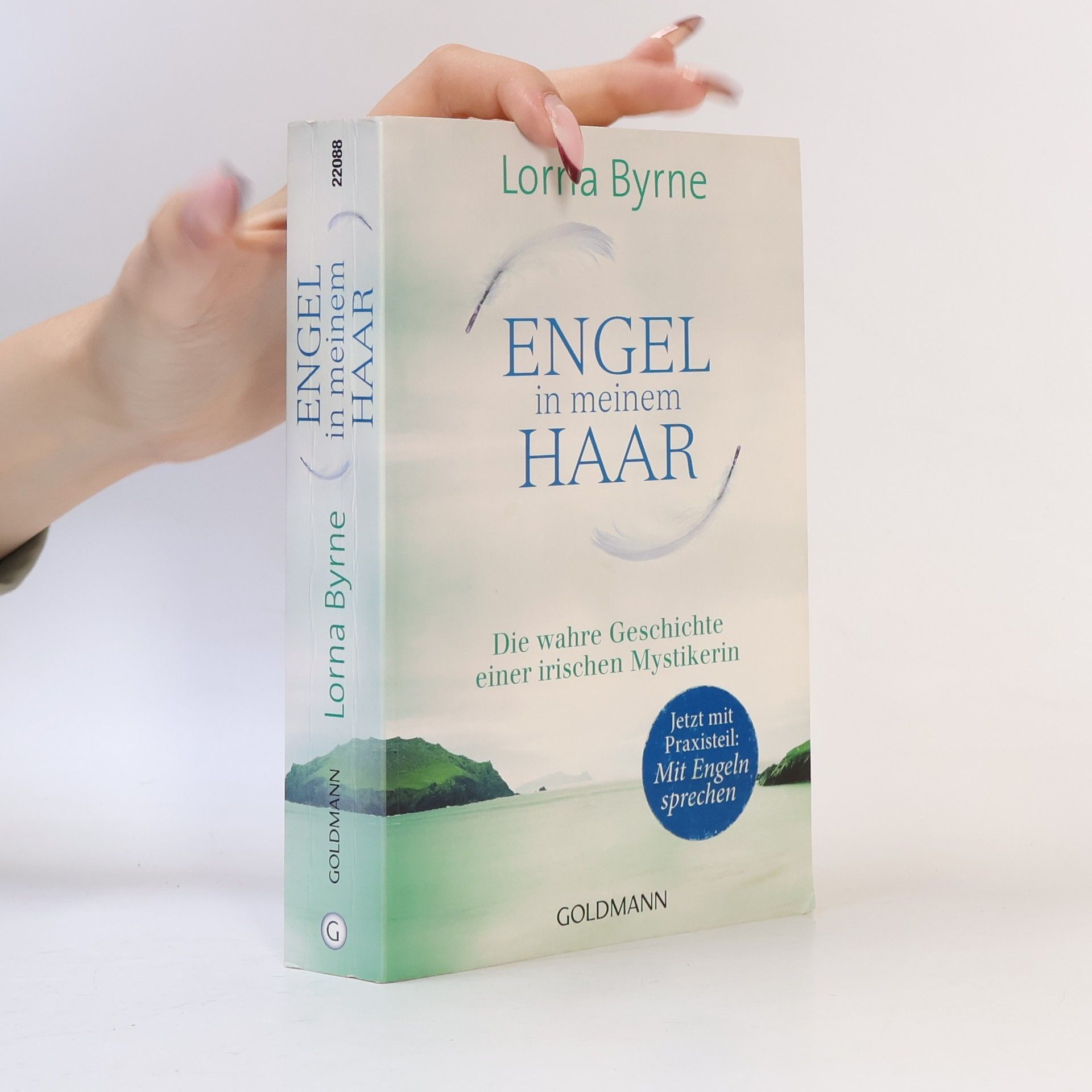 Lorna Byrne Engel in meinem Haar