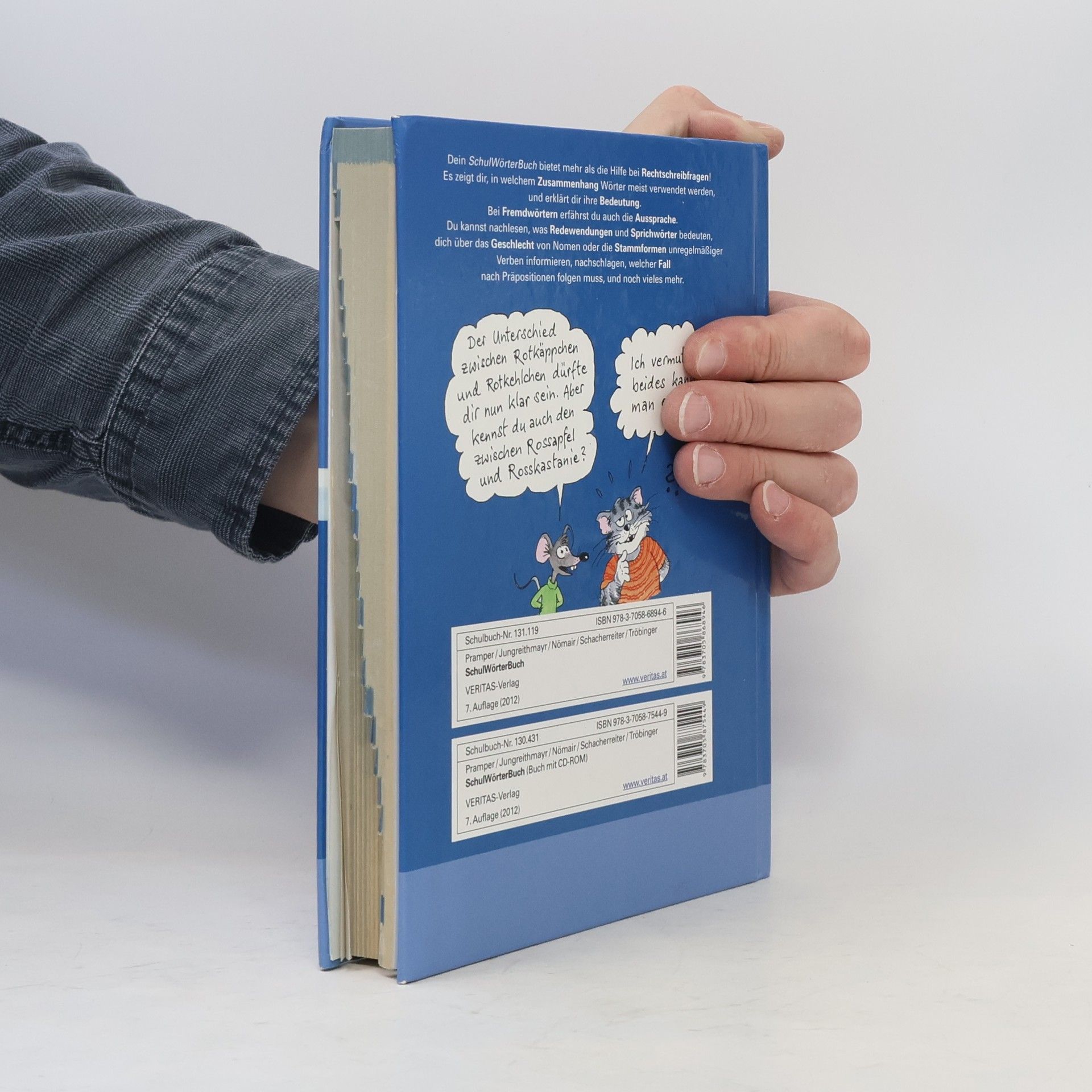 AA.VV. Schul, Wörter, Buch