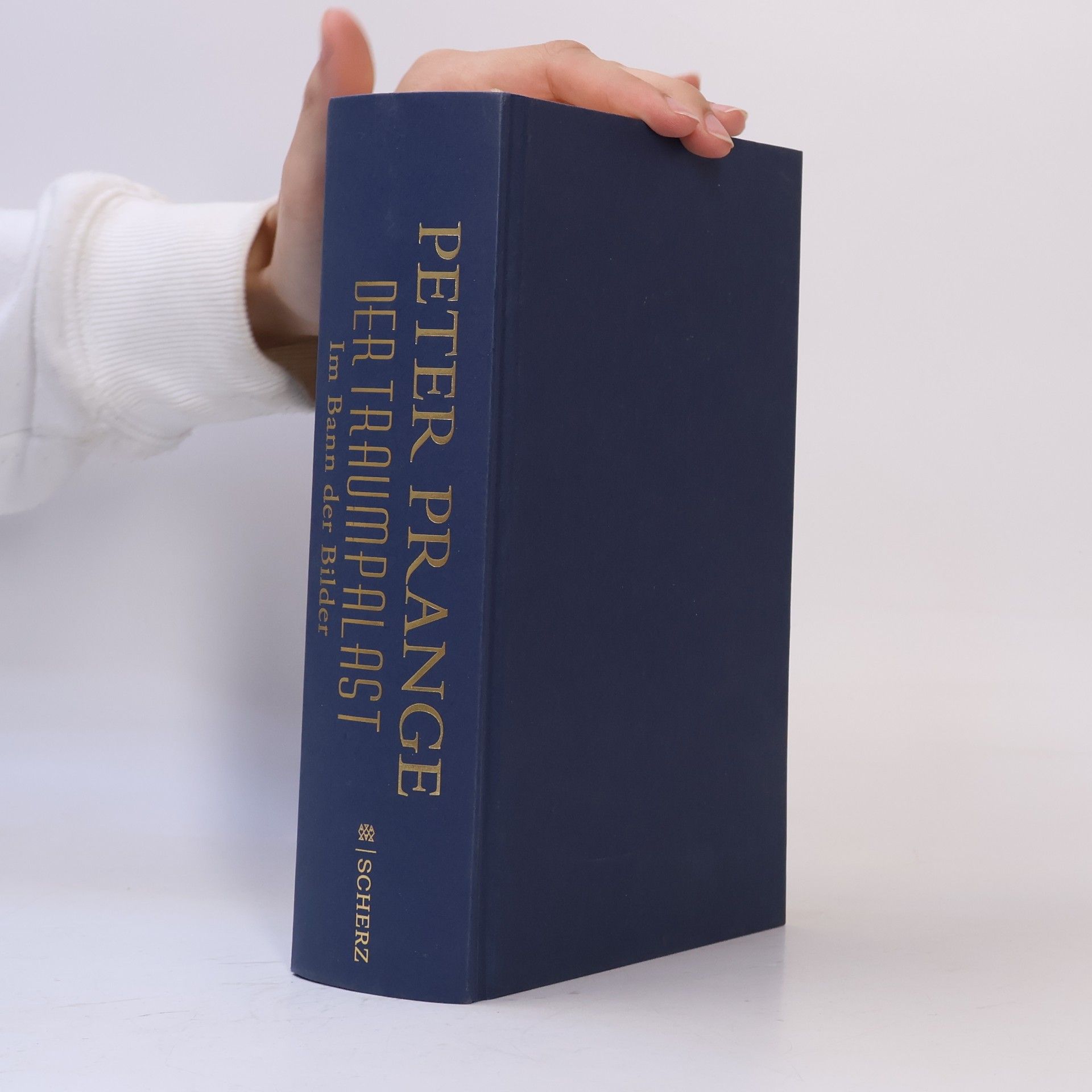 Peter Prange Der Traumpalast
