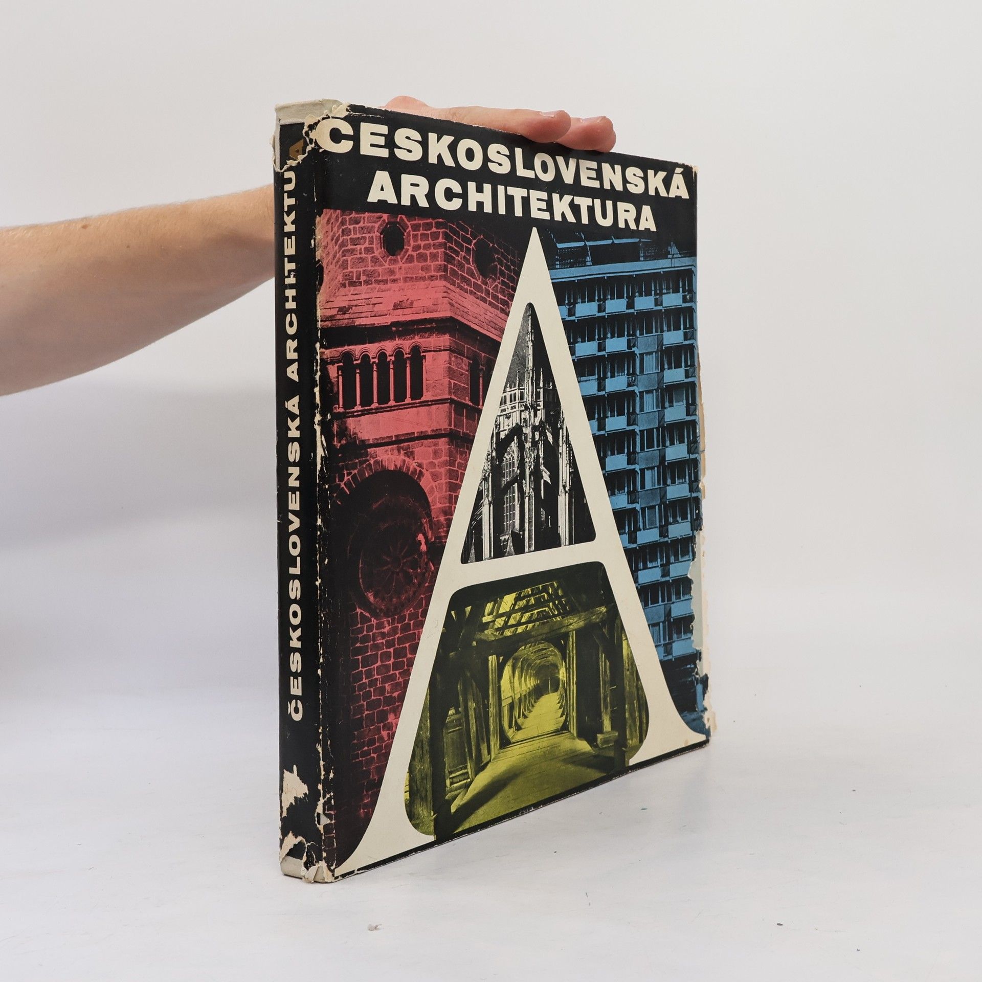 Oldřich Starý Československá architektura od nejstarší doby po současnost